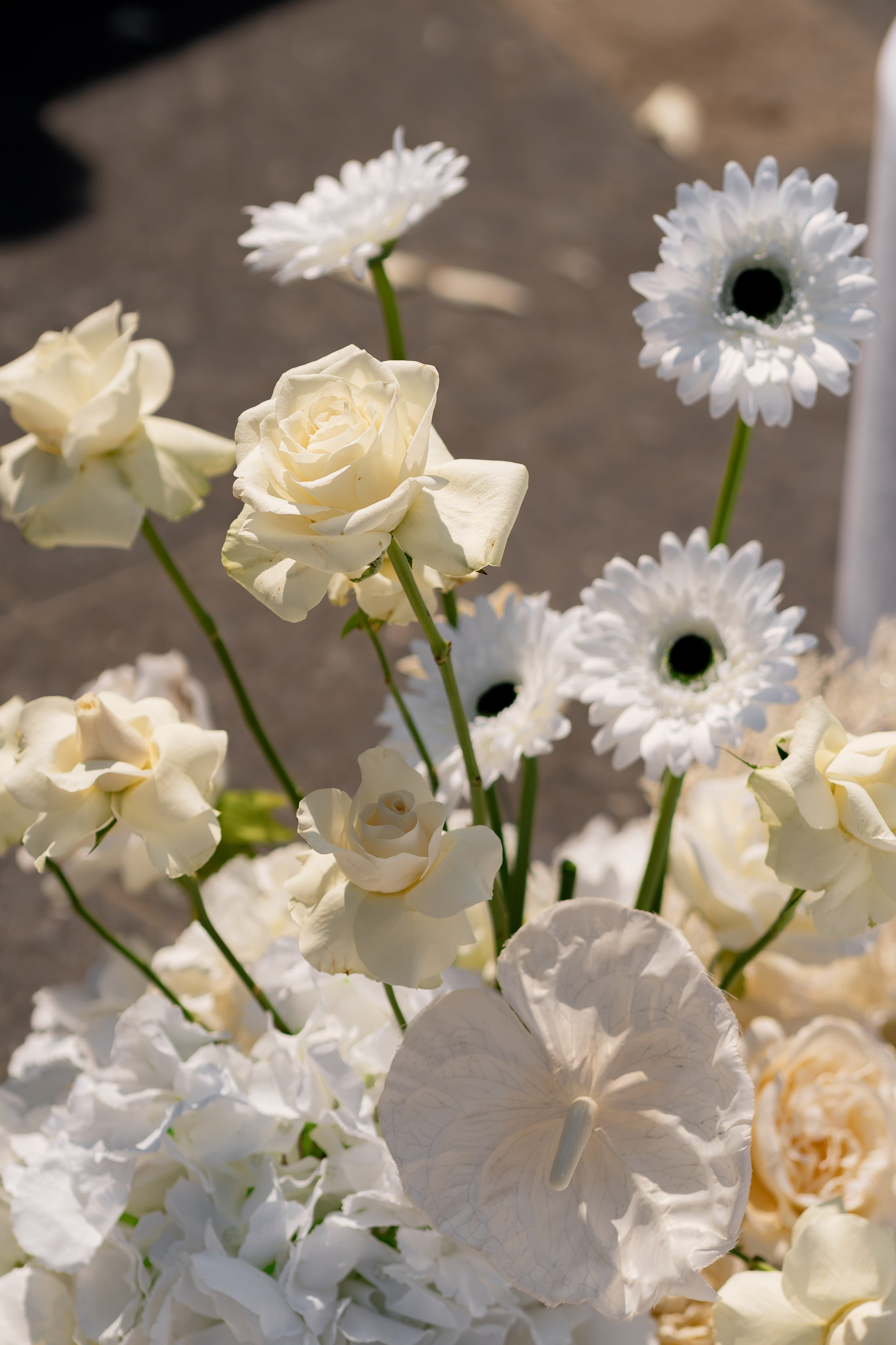 Віталій & Ліліана. Весільний фотограф Львів Софія Крайник