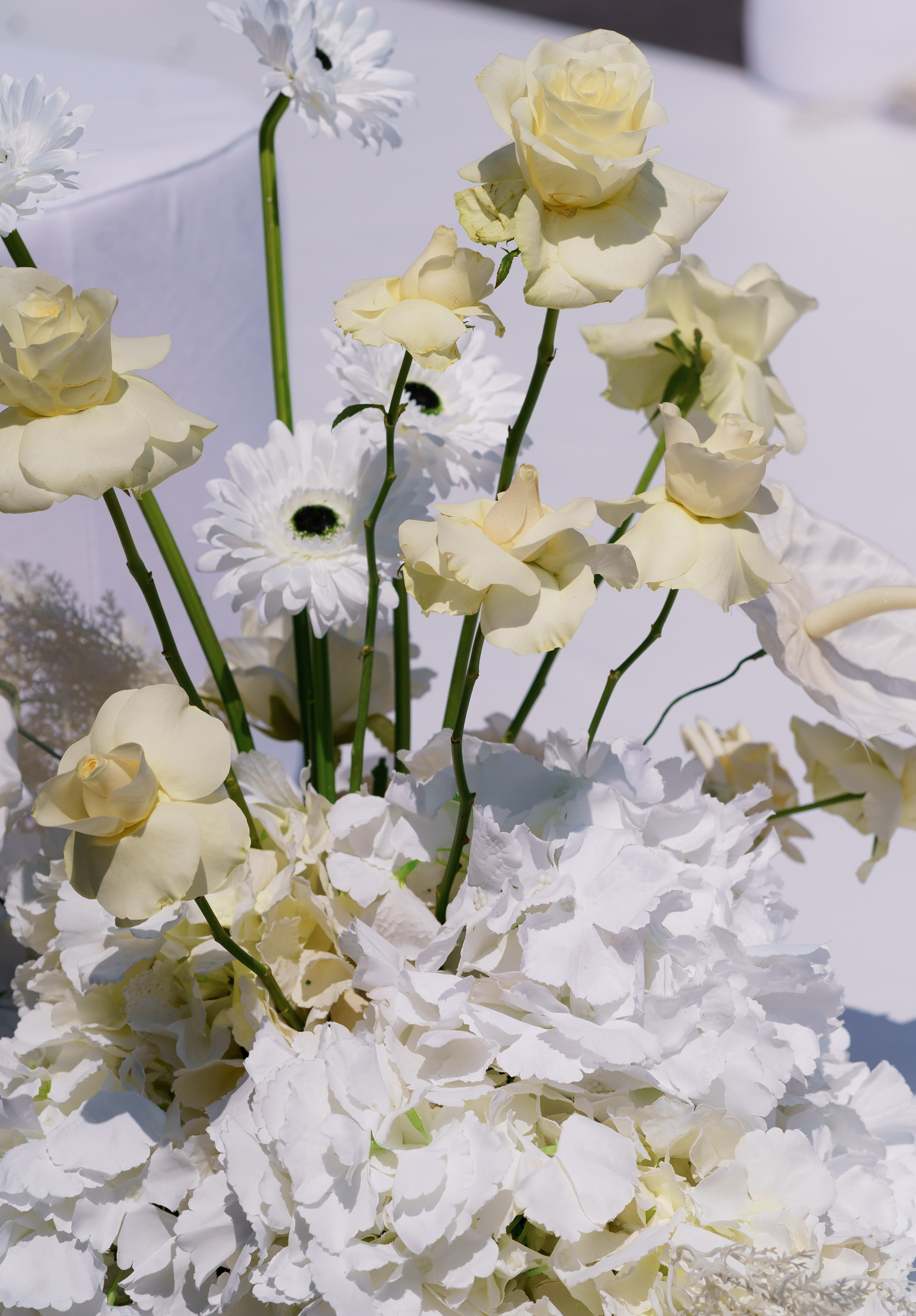 Віталій & Ліліана. Весільний фотограф Львів Софія Крайник