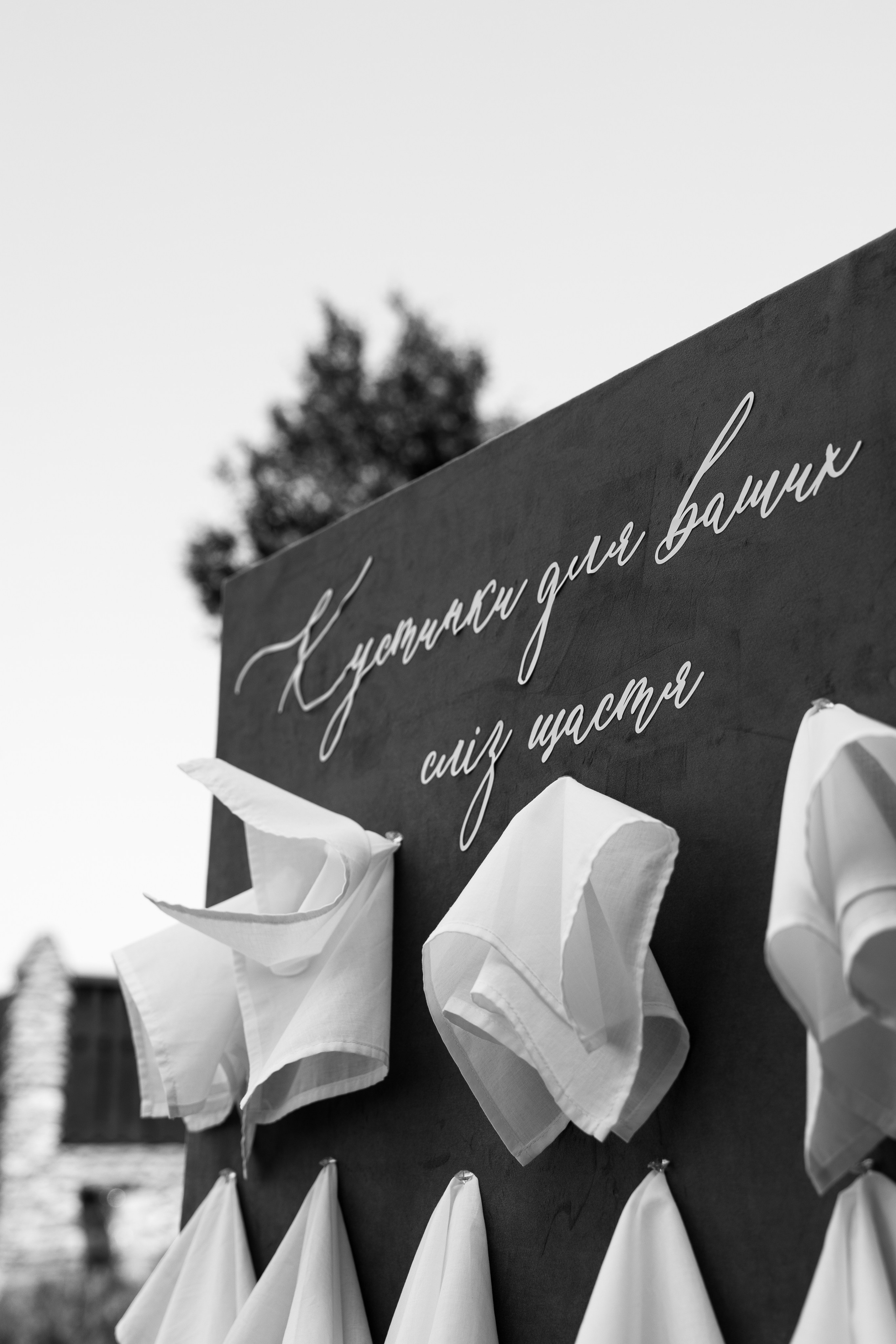 Дарина Микола. Весільний фотограф Львів Софія Крайник