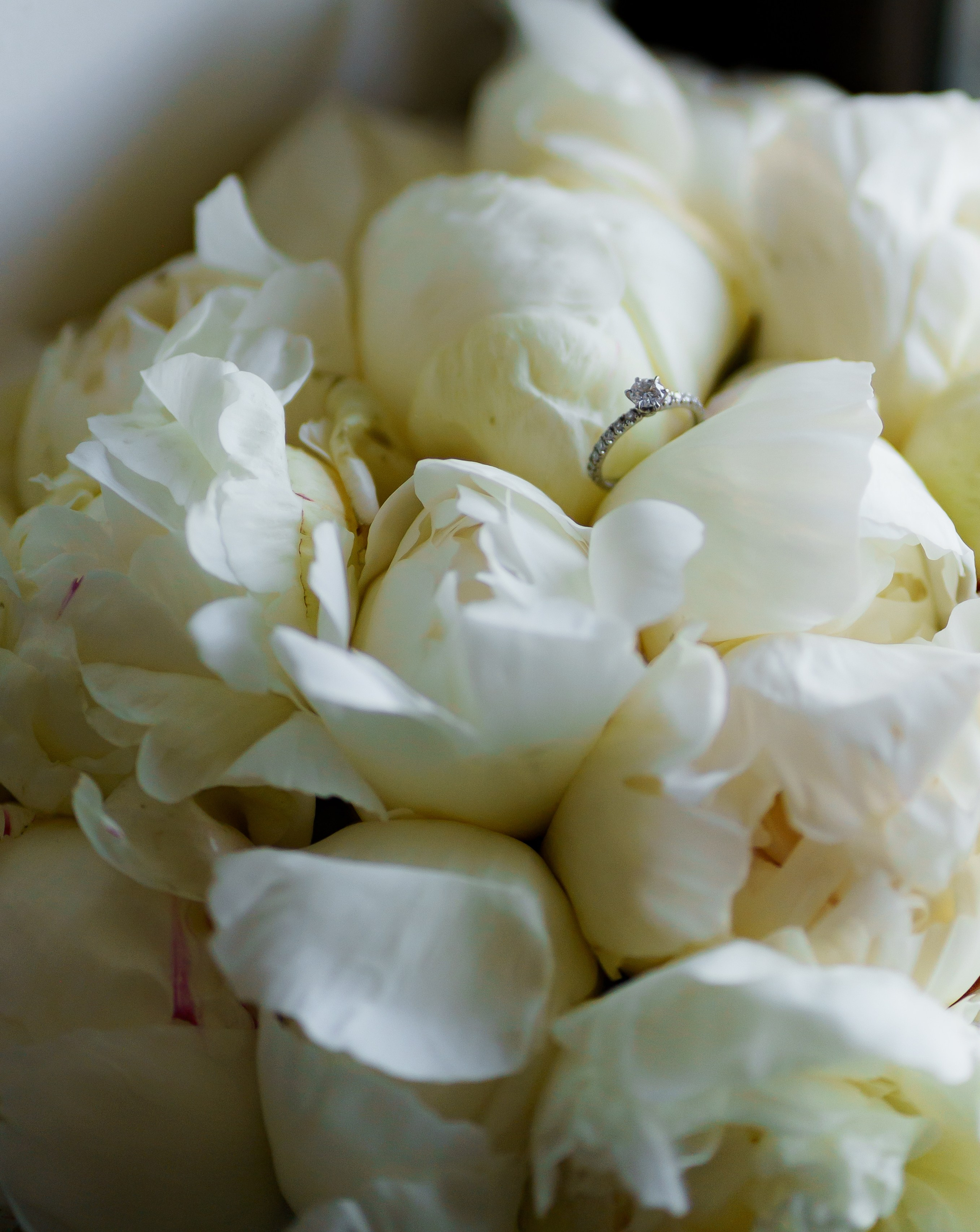 Віталій & Ліліана. Весільний фотограф Львів Софія Крайник