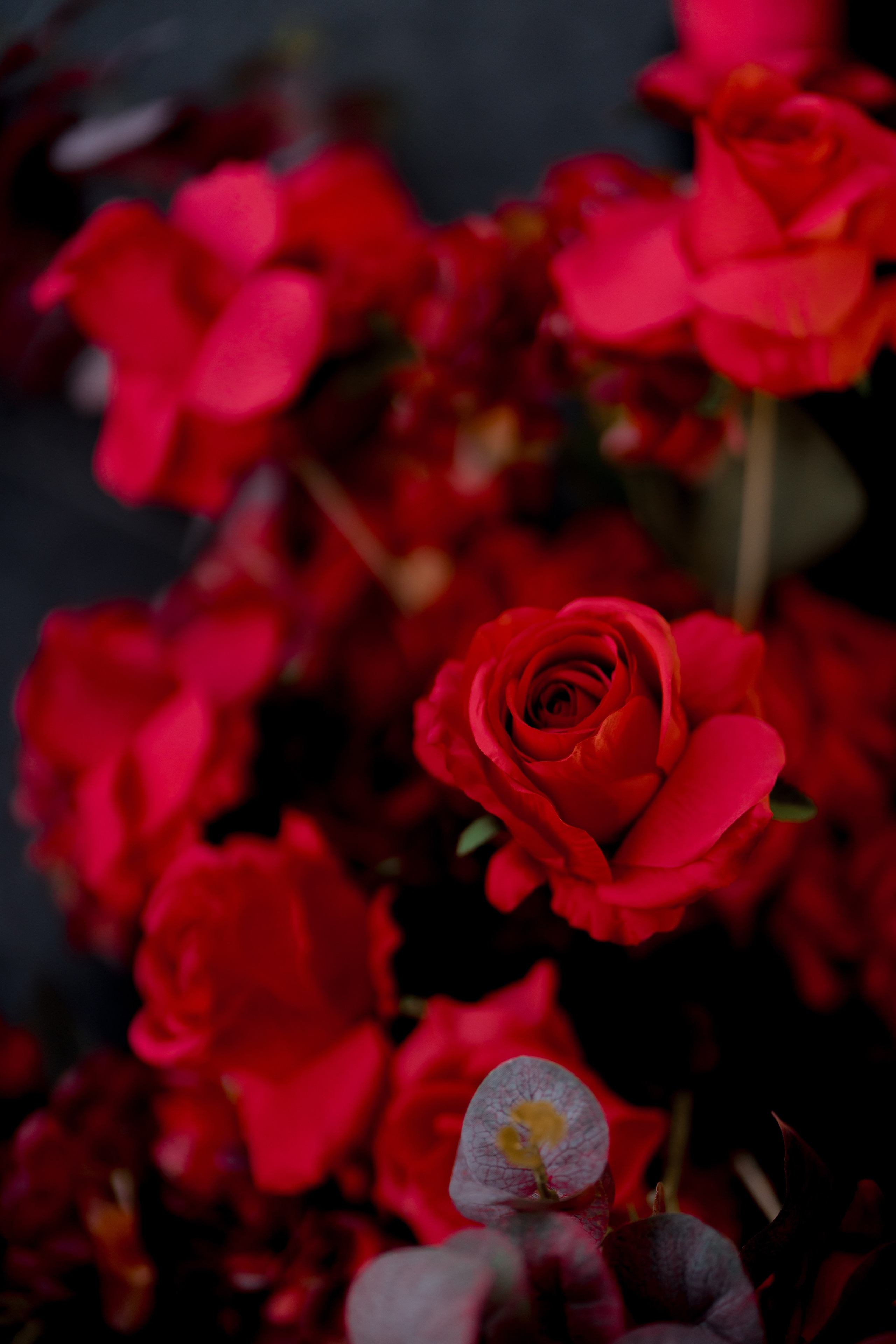 Діма & Анна. Весільний фотограф Львів Софія Крайник