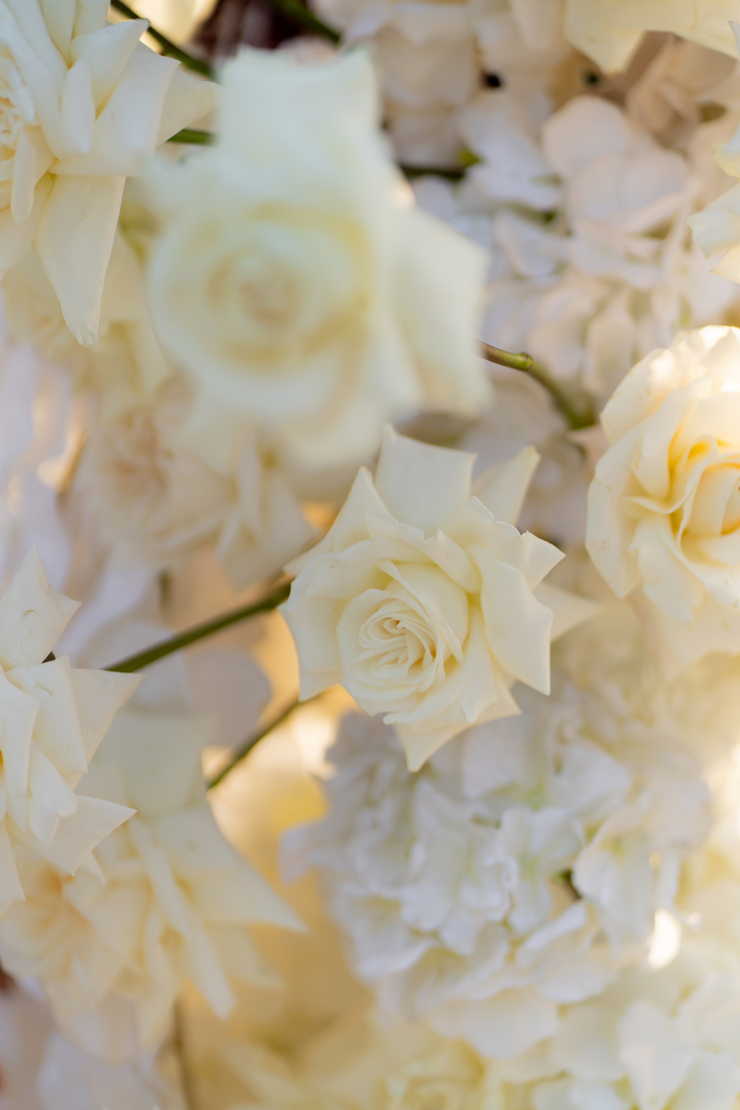 Ірина & Назар. Весільний фотограф Львів Софія Крайник