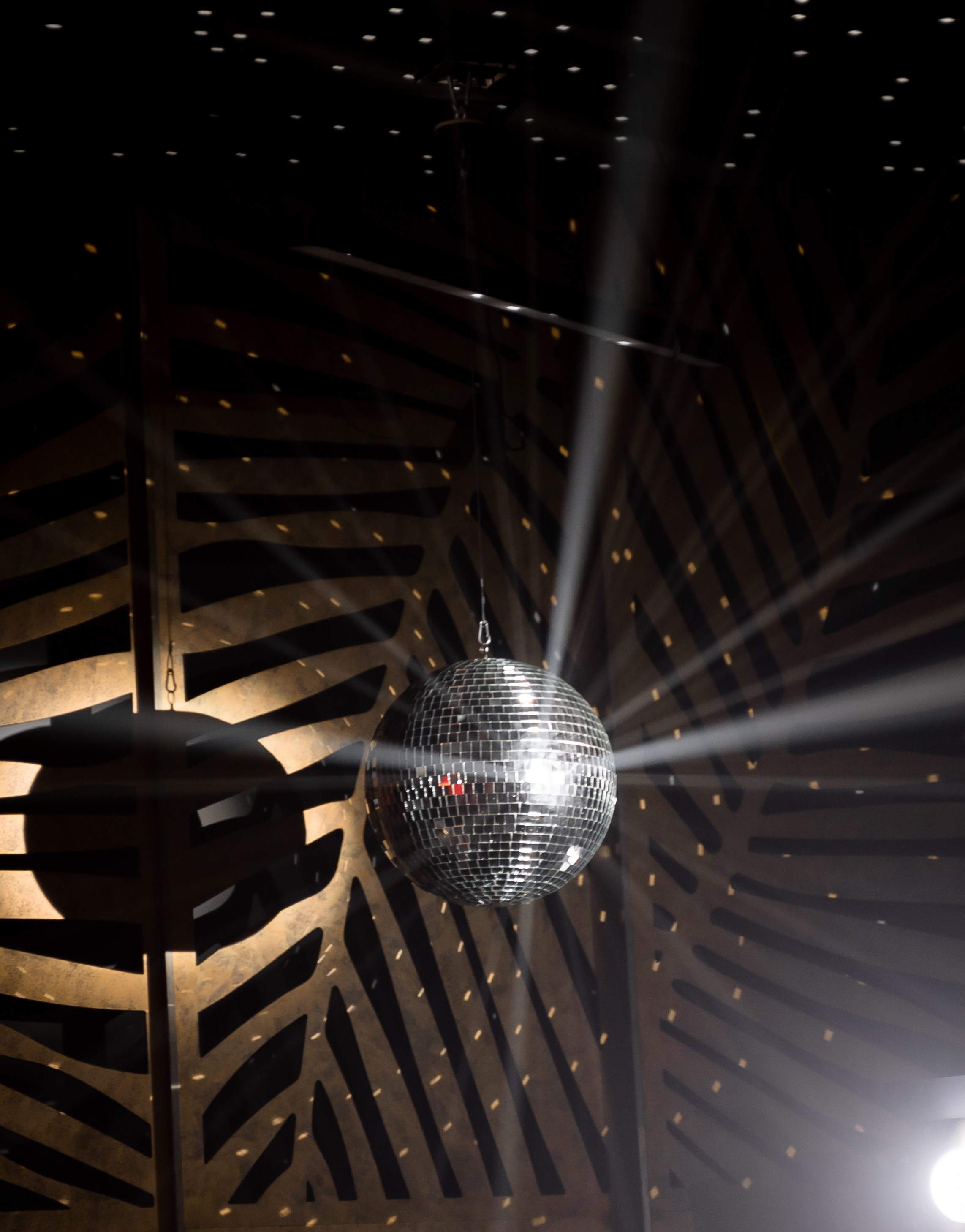 Діма & Анна. Весільний фотограф Львів Софія Крайник