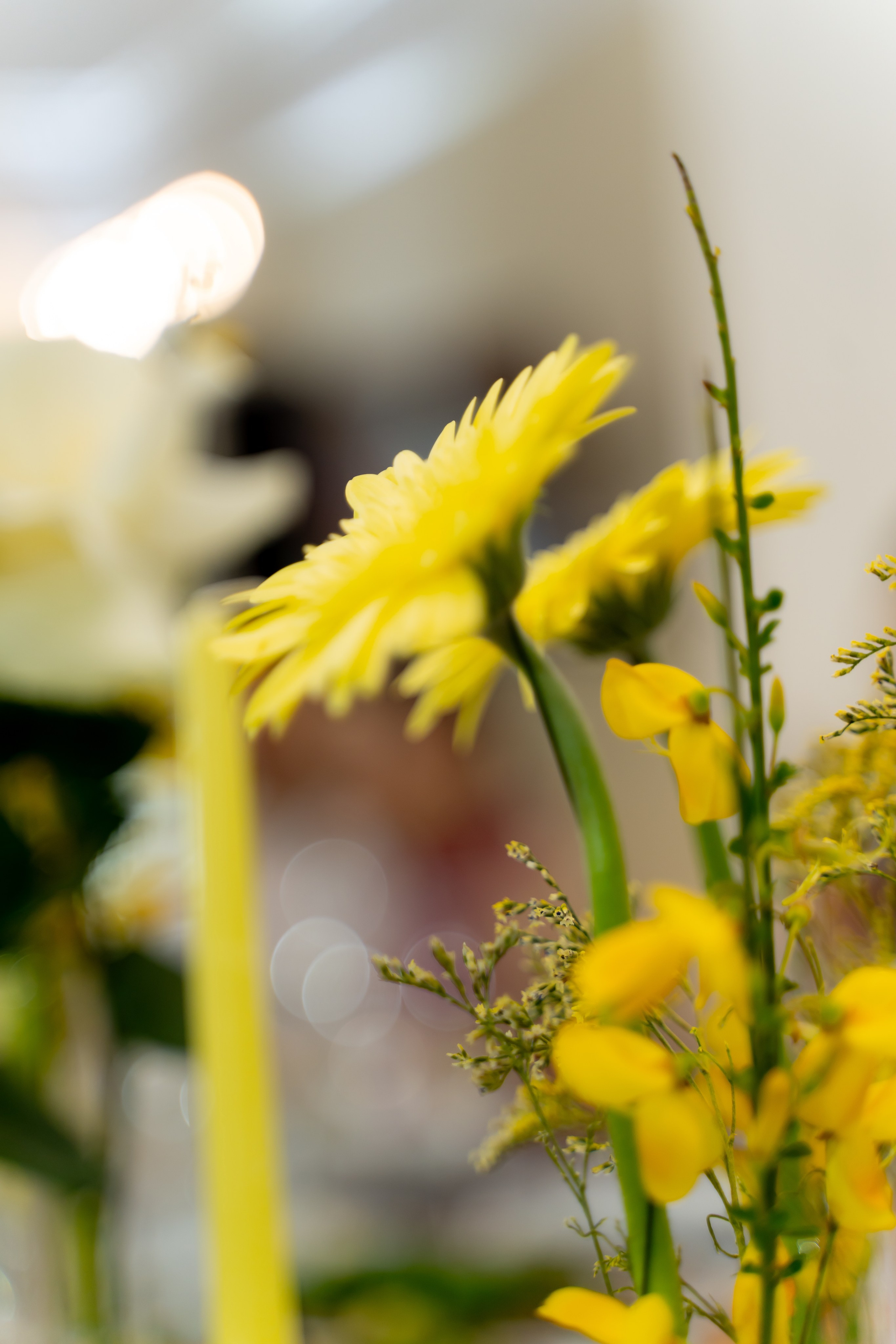 Тетяна & Остап. Весільний фотограф Львів Софія Крайник