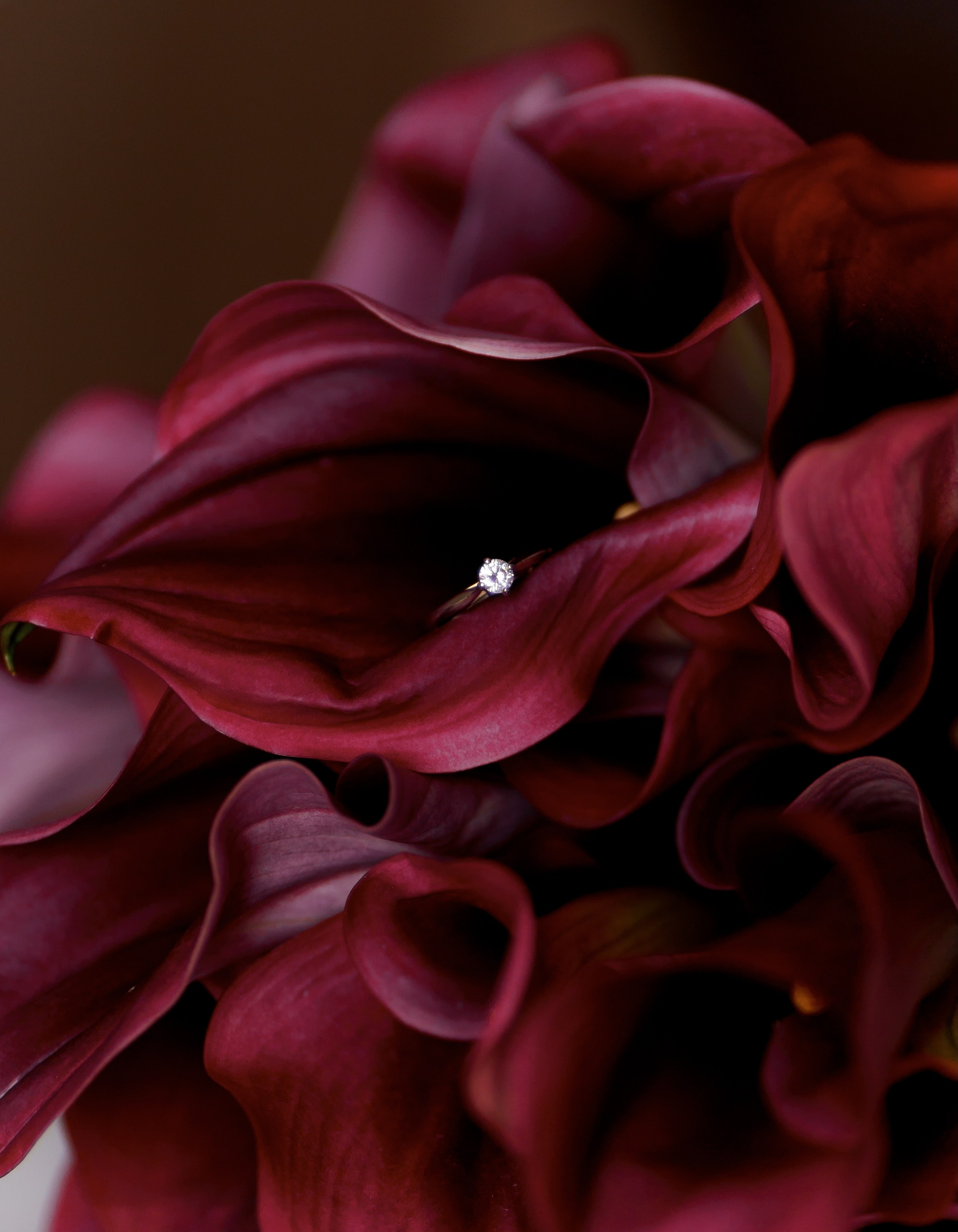 Діма & Анна. Весільний фотограф Львів Софія Крайник