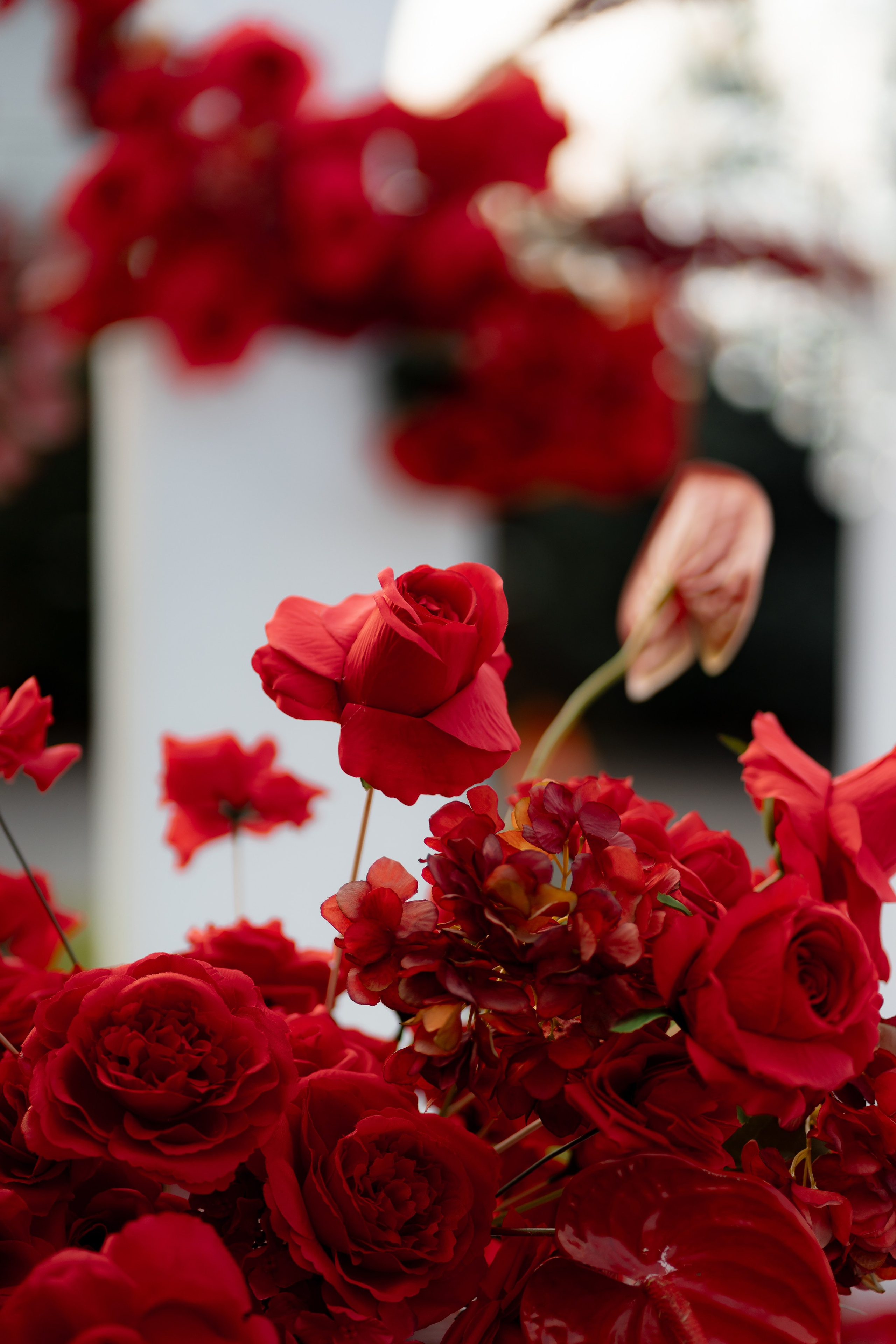 Діма & Анна. Весільний фотограф Львів Софія Крайник