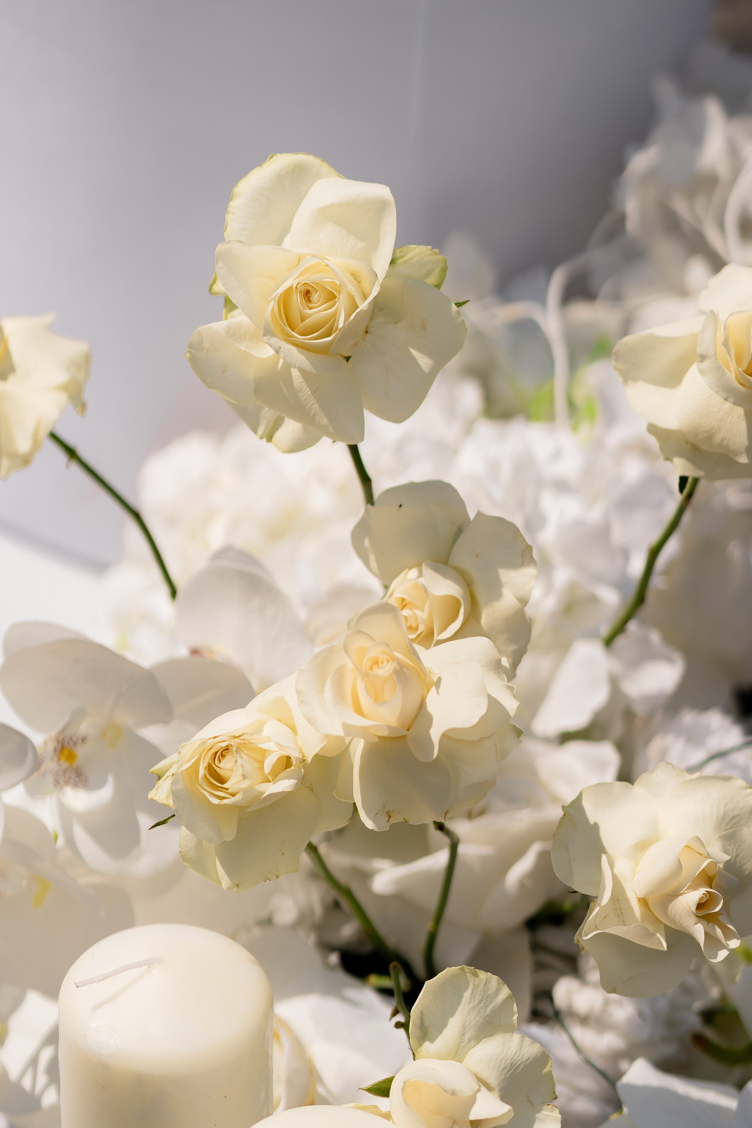 Віталій & Ліліана. Весільний фотограф Львів Софія Крайник