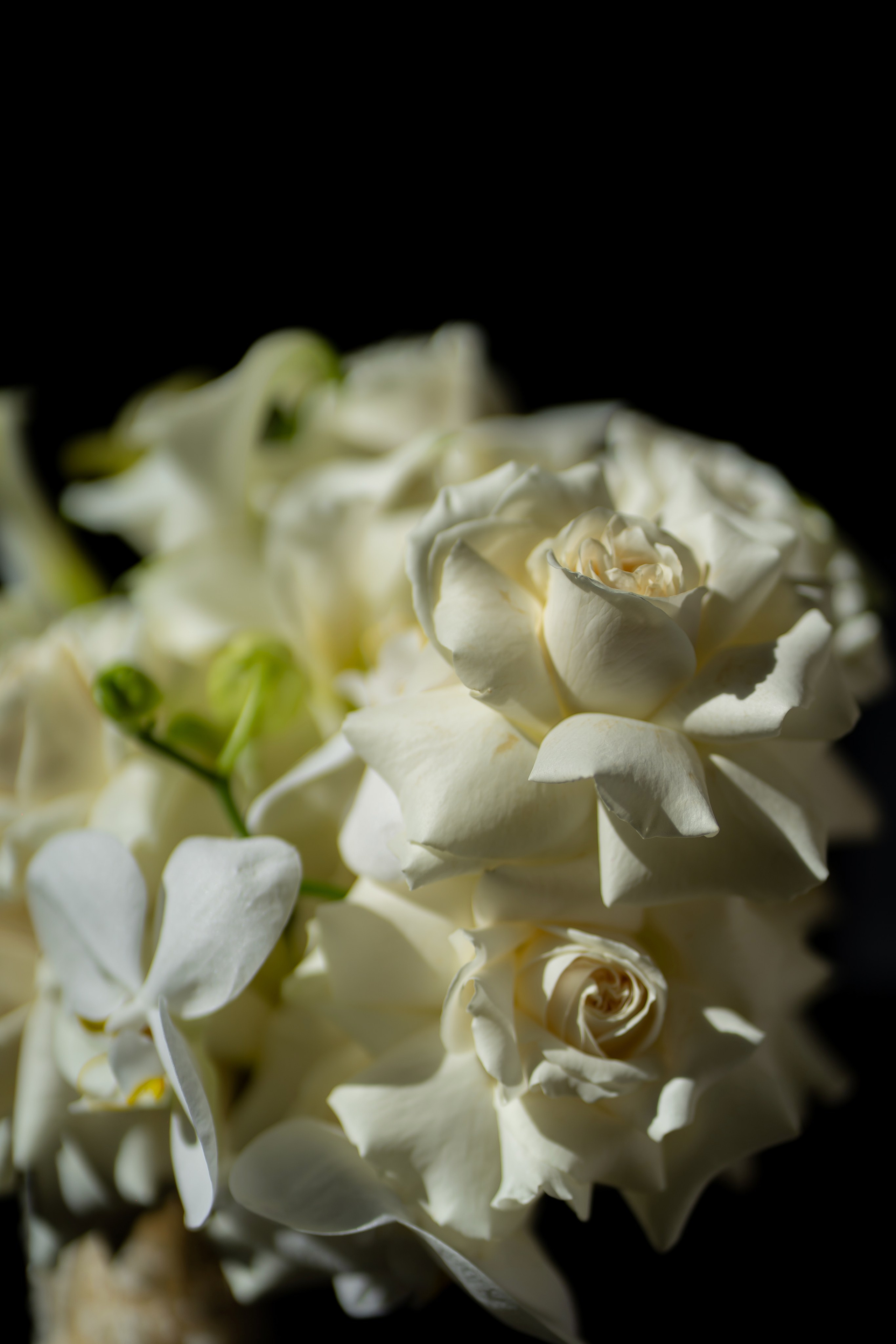 Анастасія & Олексій. Весільний фотограф Львів Софія Крайник