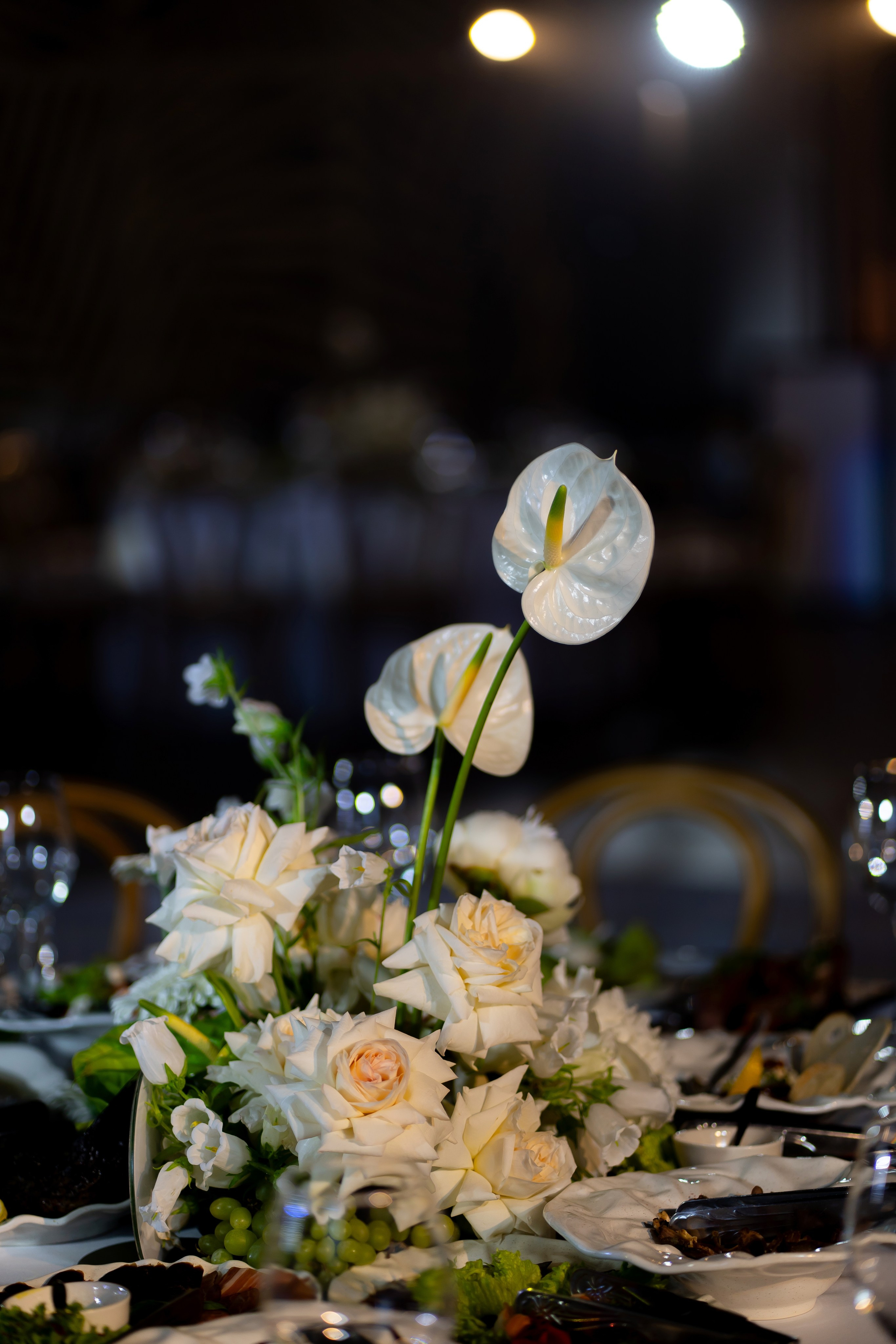 Дарина Микола. Весільний фотограф Львів Софія Крайник