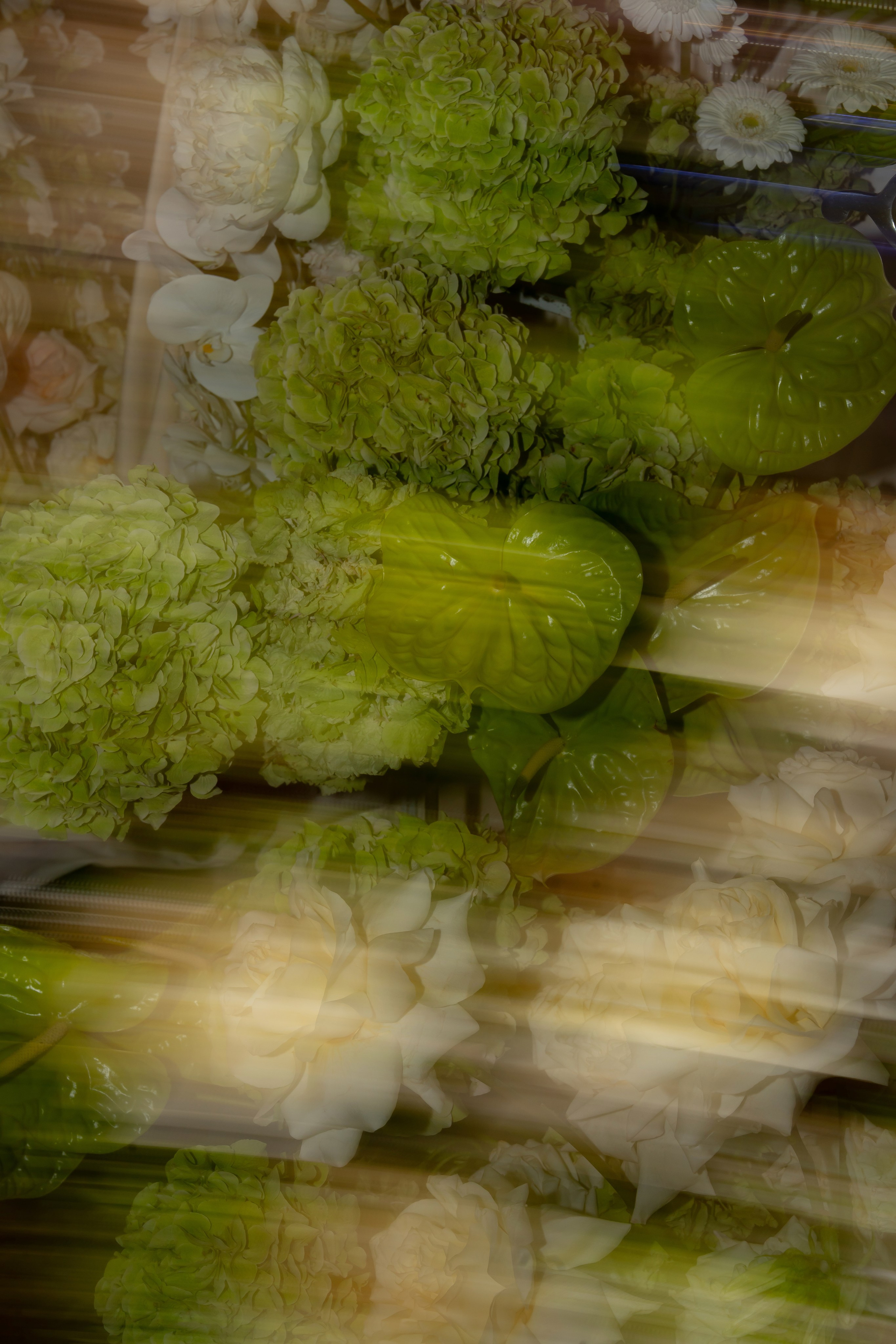 Дарина Микола. Весільний фотограф Львів Софія Крайник