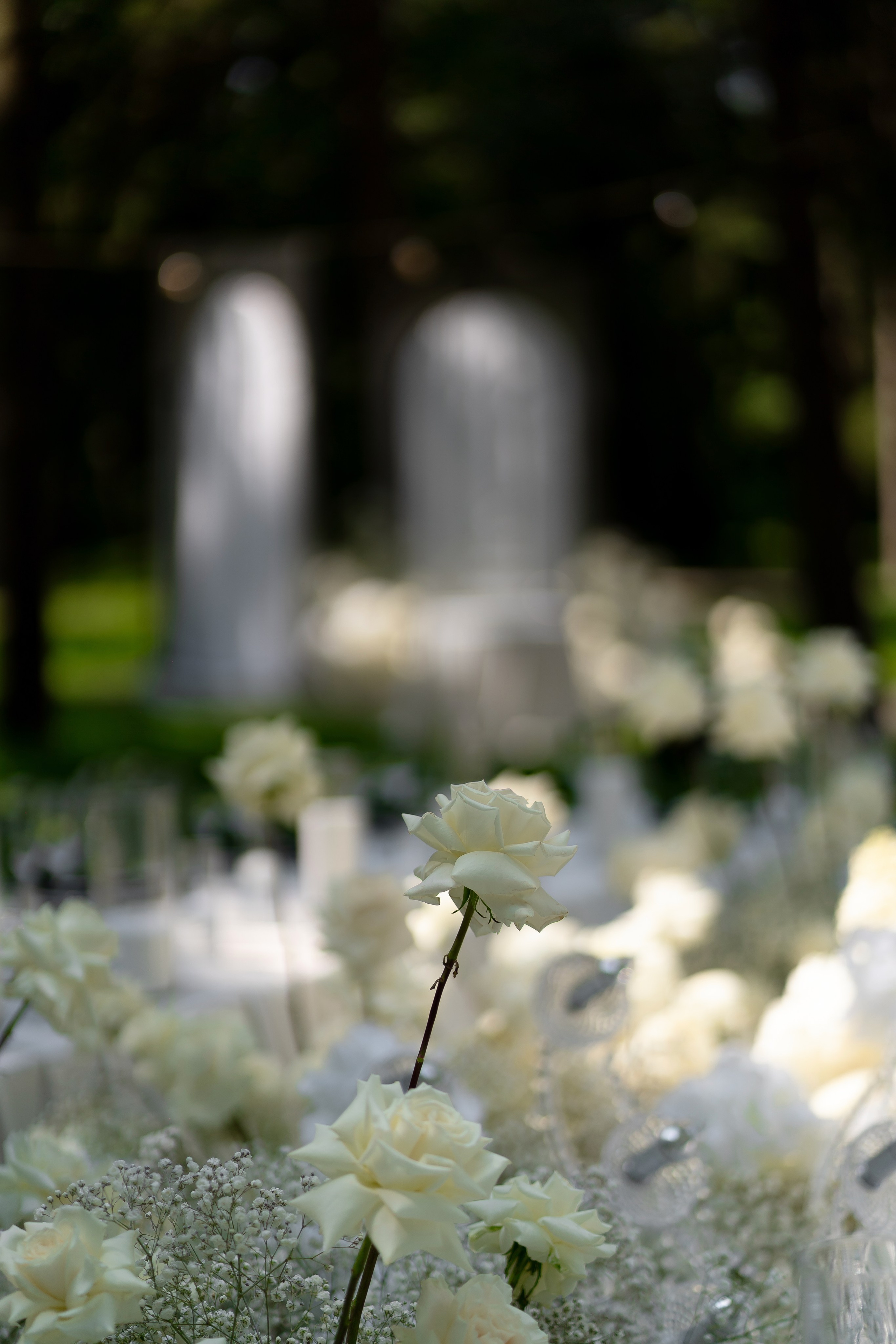Анастасія & Олексій. Весільний фотограф Львів Софія Крайник