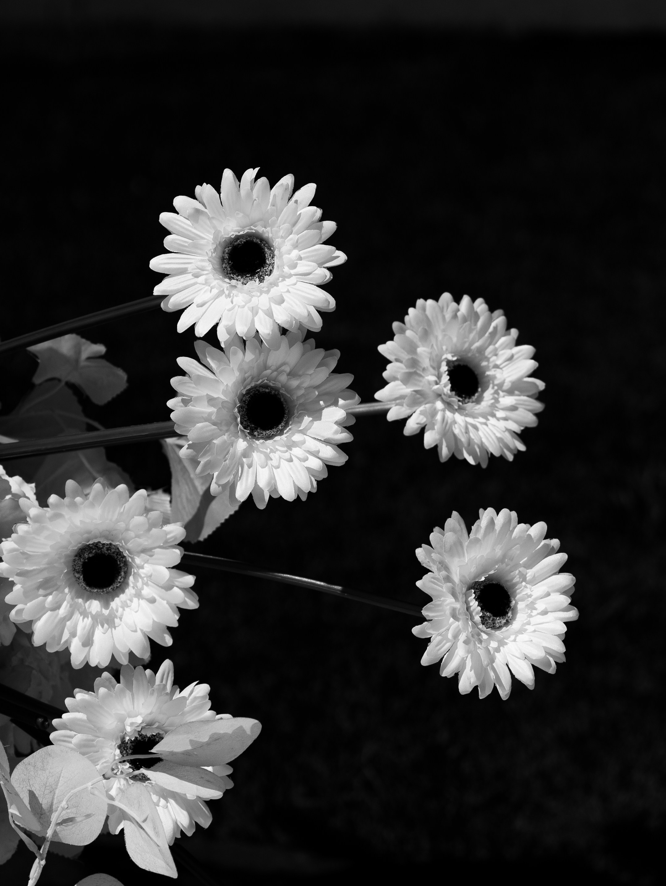 Віталій & Ліліана. Весільний фотограф Львів Софія Крайник