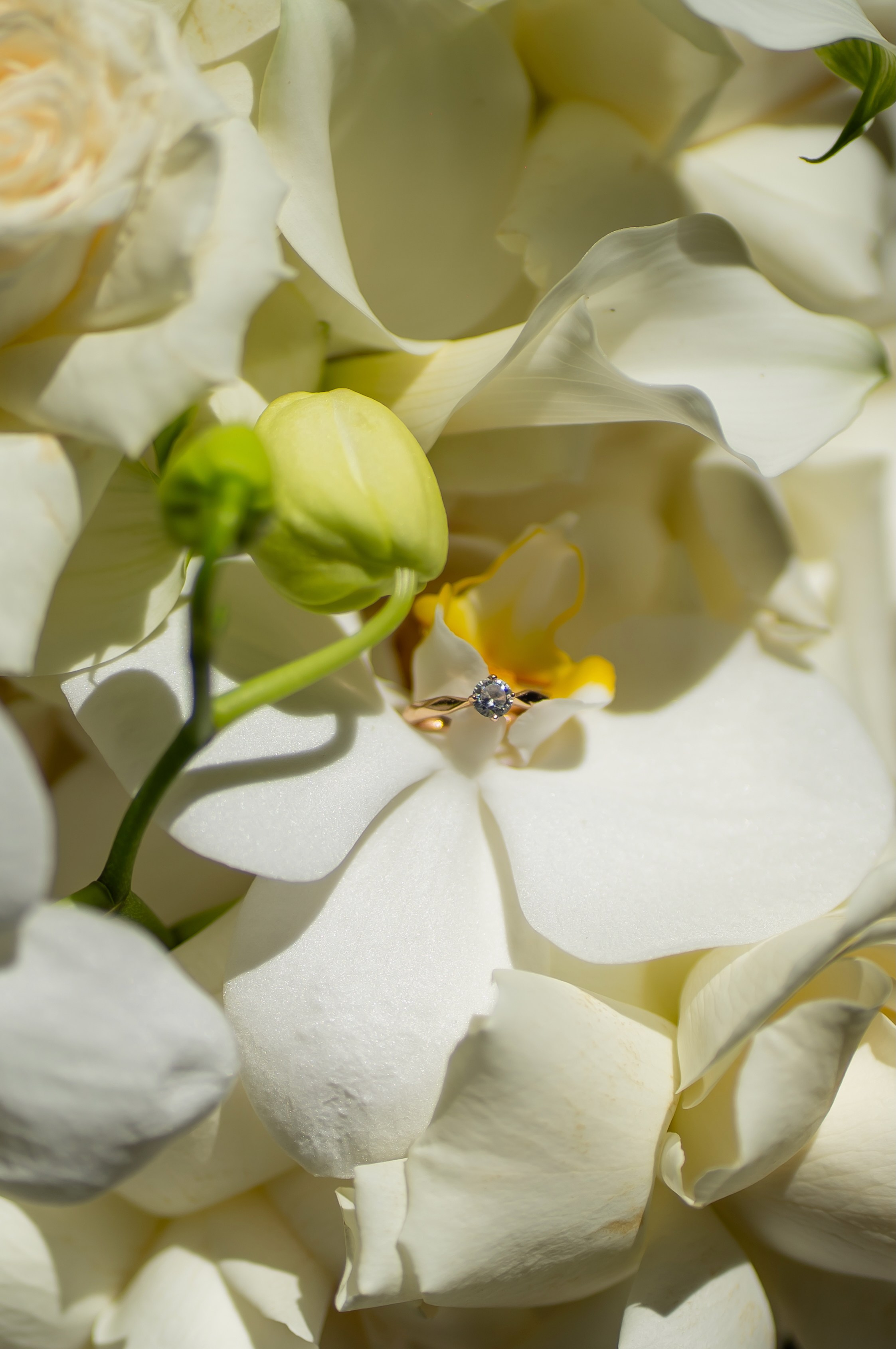 Анастасія & Олексій. Весільний фотограф Львів Софія Крайник