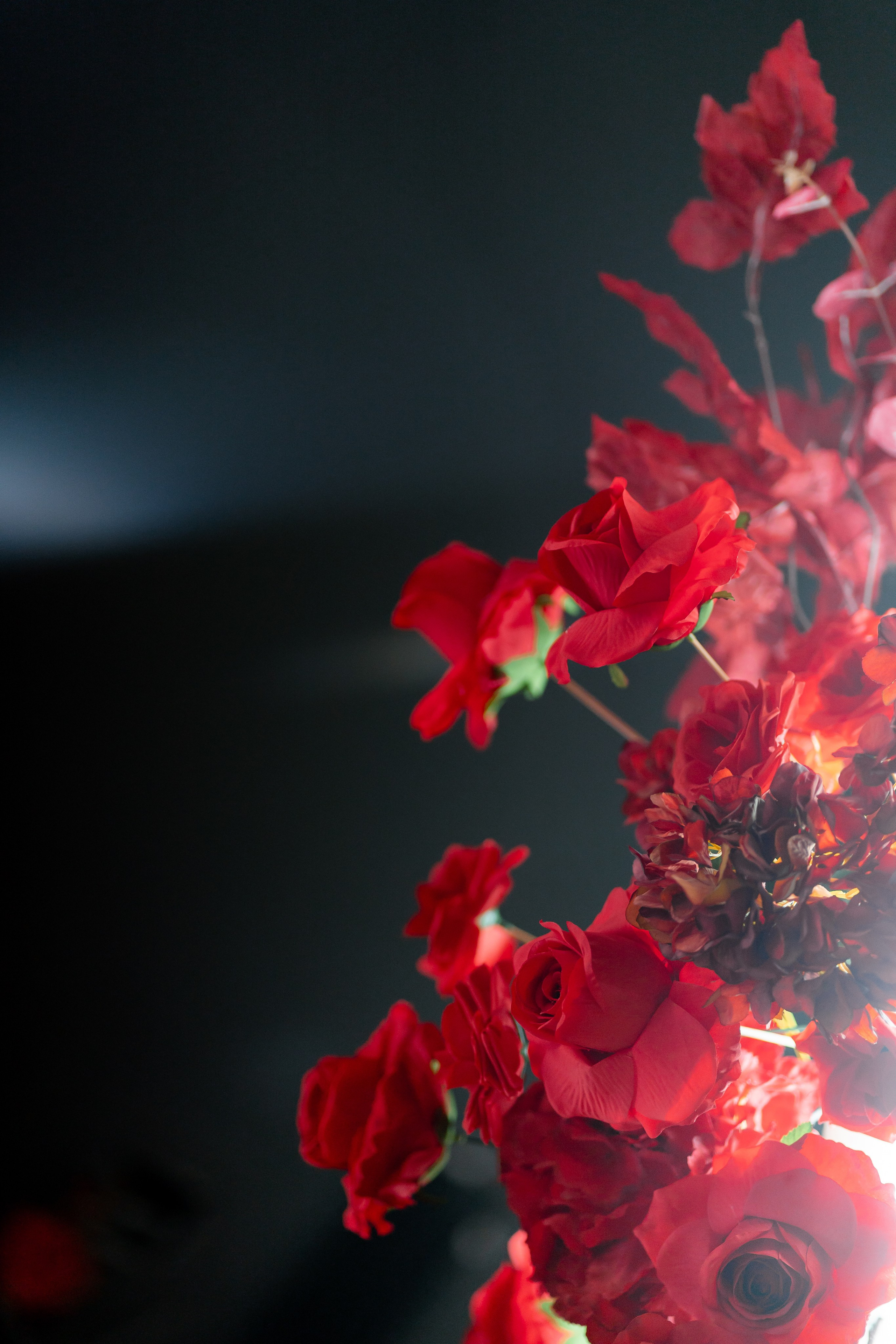 Діма & Анна. Весільний фотограф Львів Софія Крайник