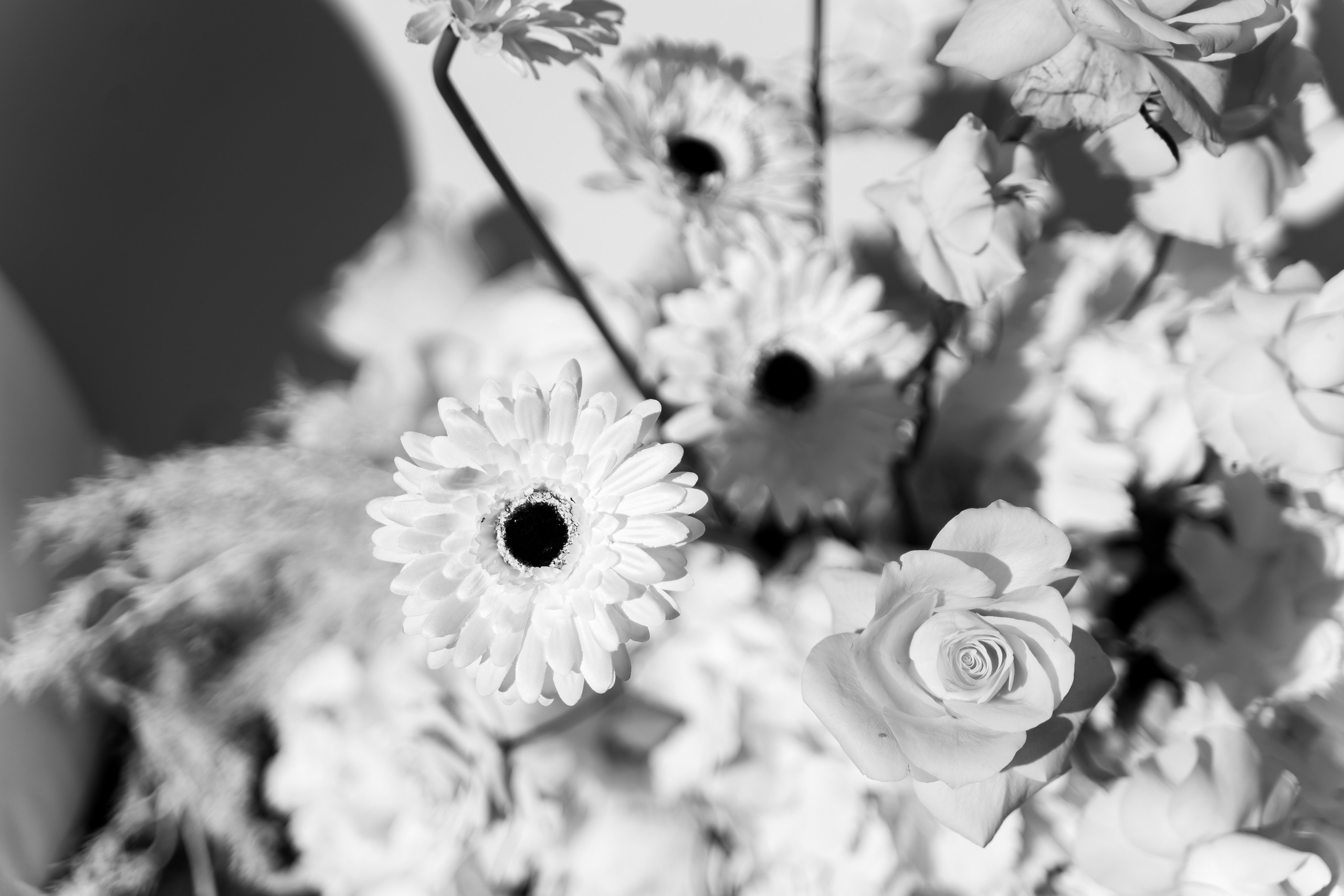 Віталій & Ліліана. Весільний фотограф Львів Софія Крайник