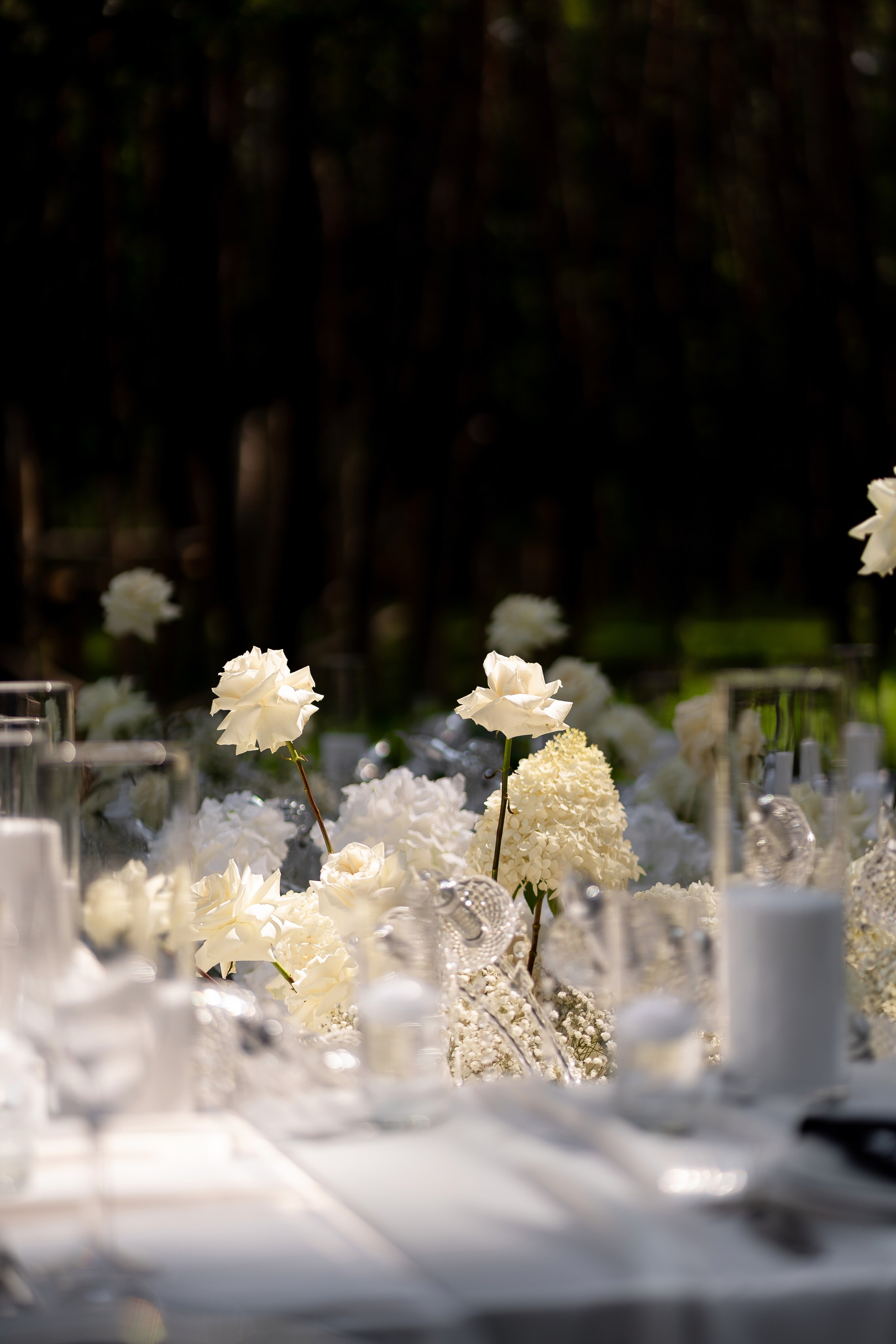 Анастасія & Олексій. Весільний фотограф Львів Софія Крайник