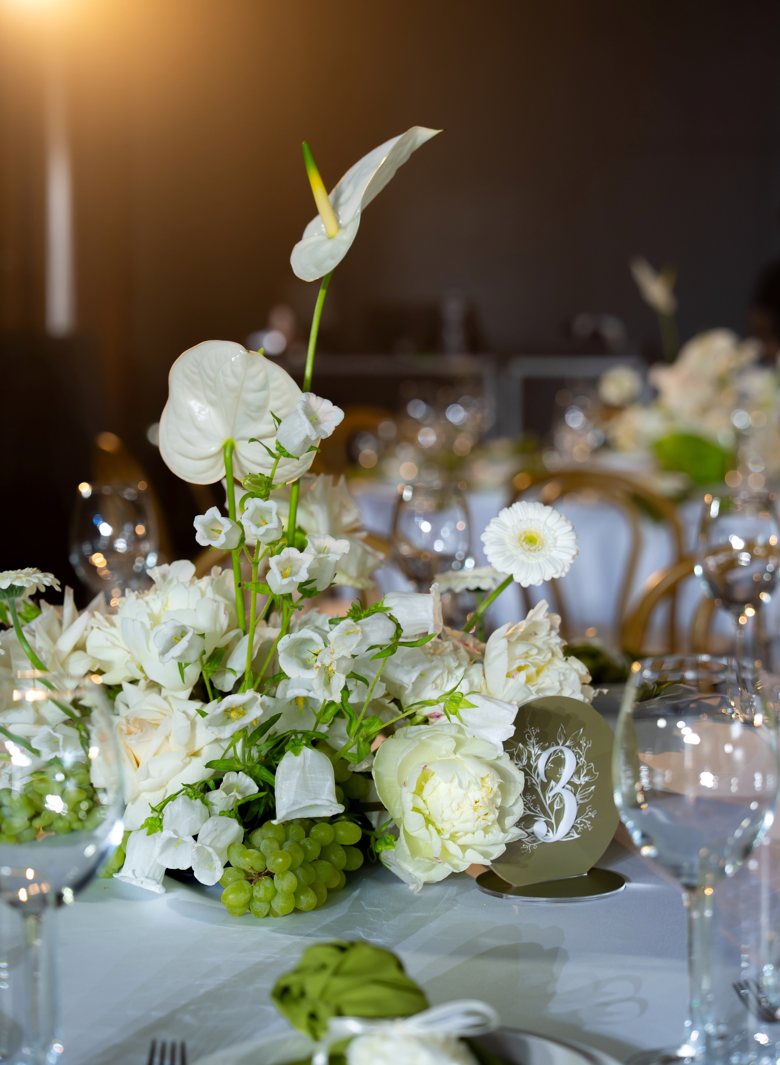 Дарина Микола. Весільний фотограф Львів Софія Крайник