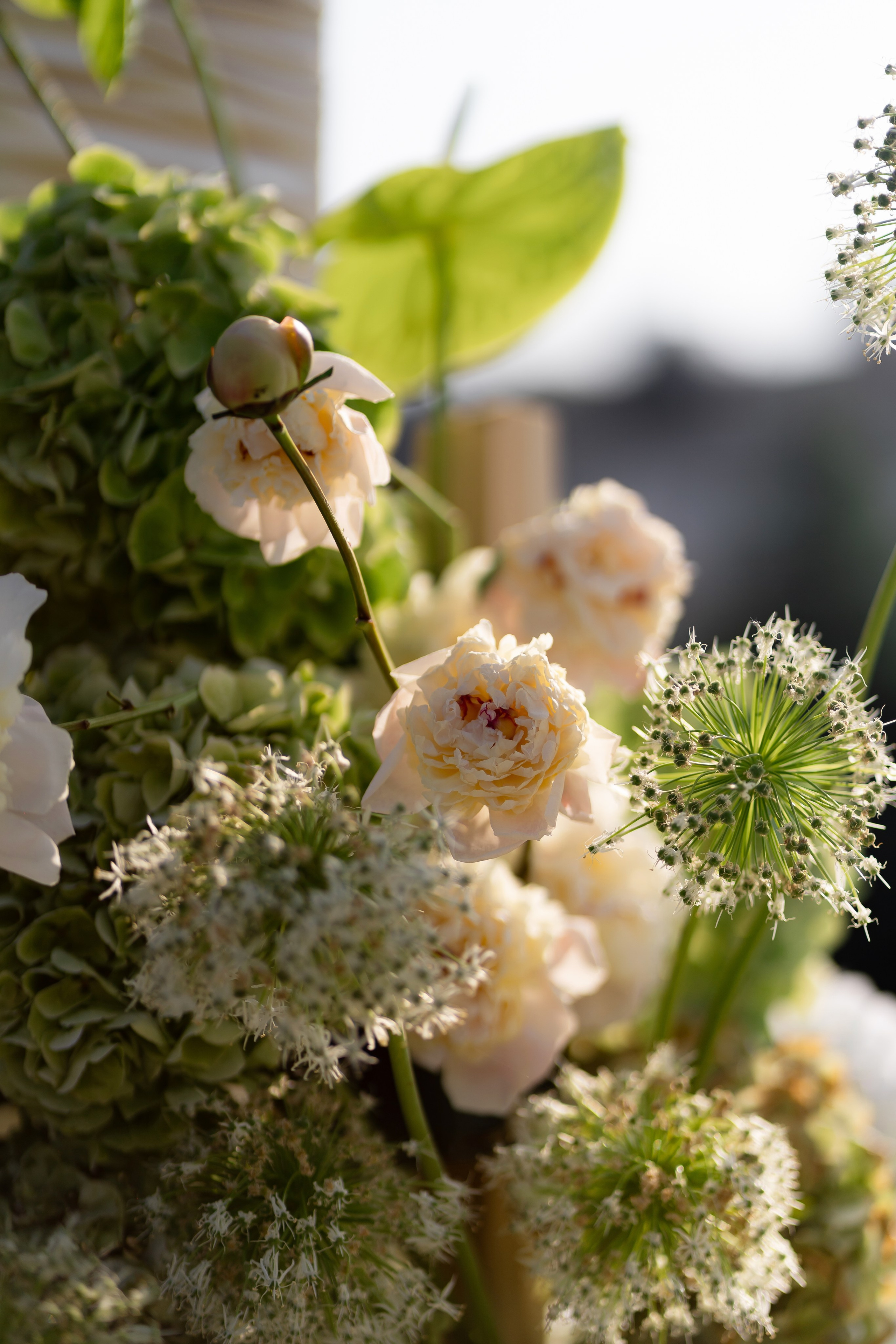 Дарина Микола. Весільний фотограф Львів Софія Крайник