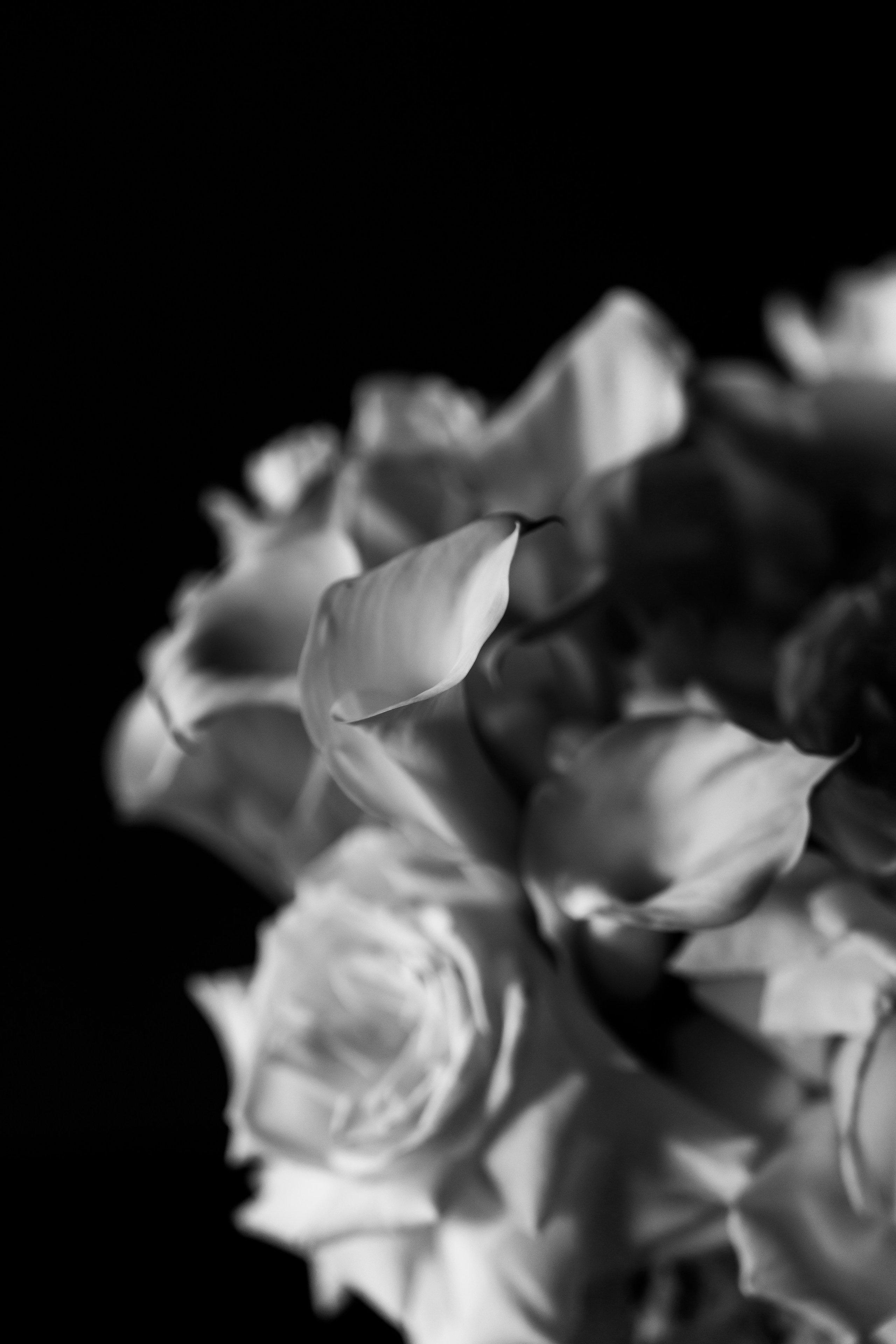 Анастасія & Олексій. Весільний фотограф Львів Софія Крайник