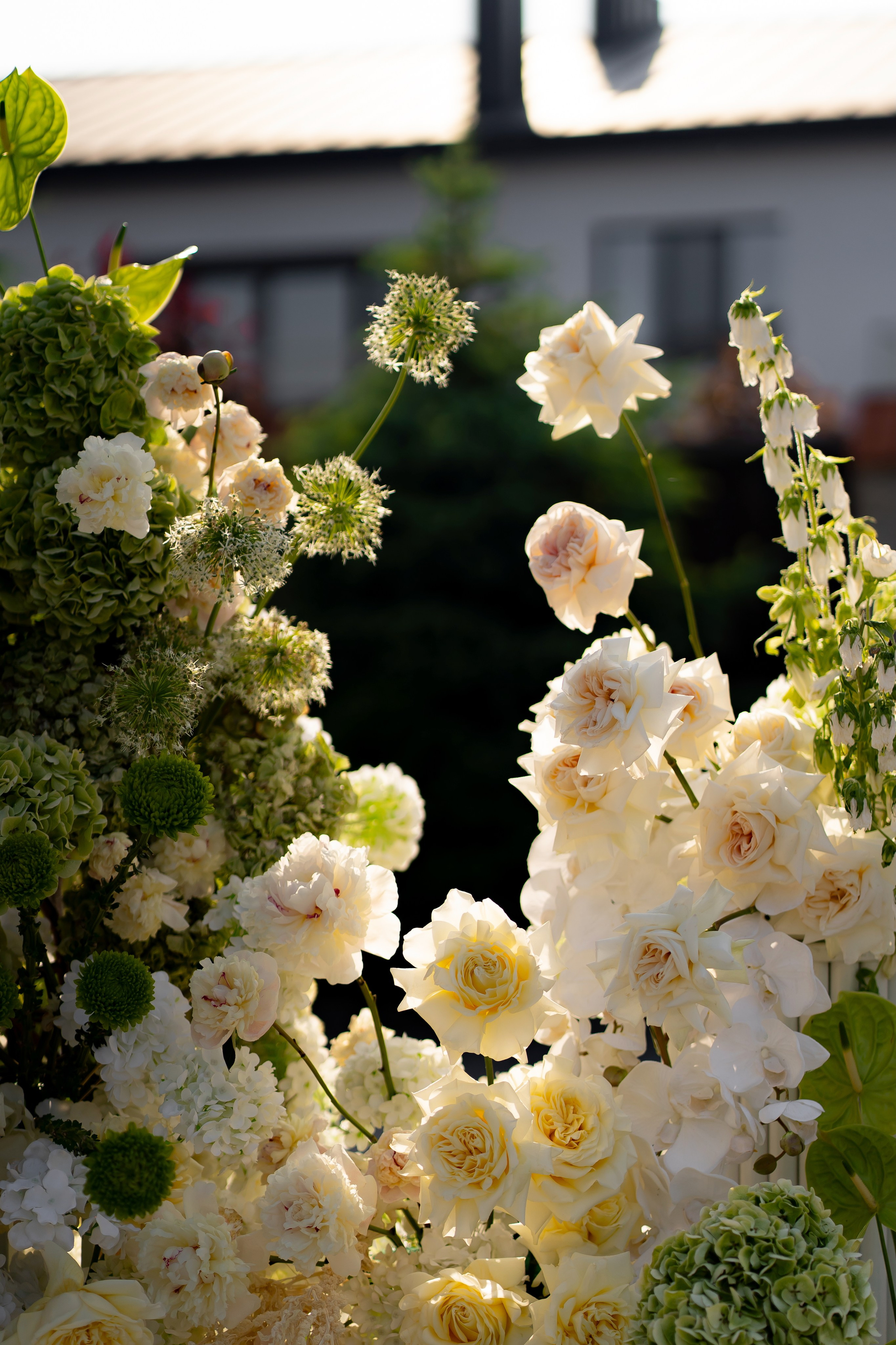 Дарина Микола. Весільний фотограф Львів Софія Крайник