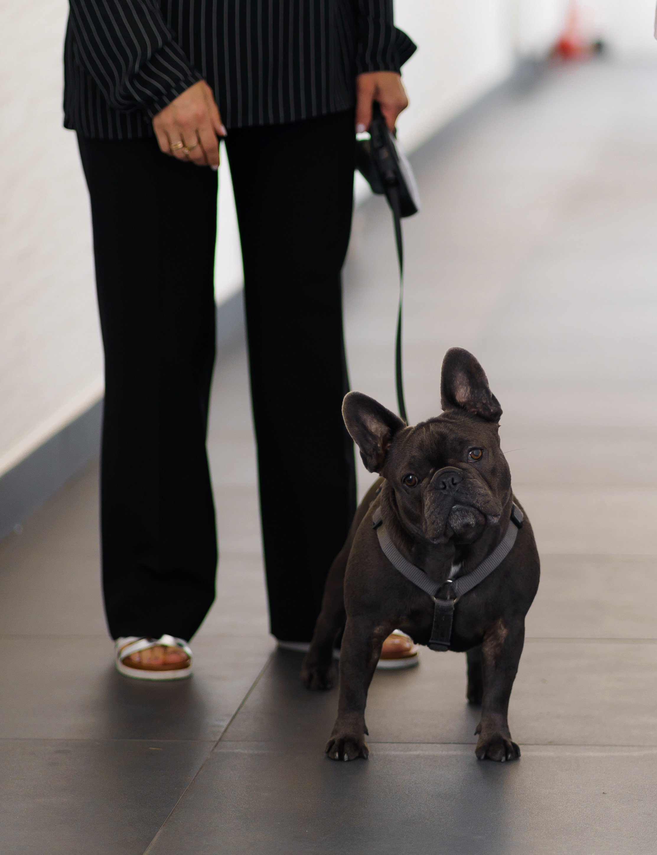 Віталій & Ліліана. Весільний фотограф Львів Софія Крайник