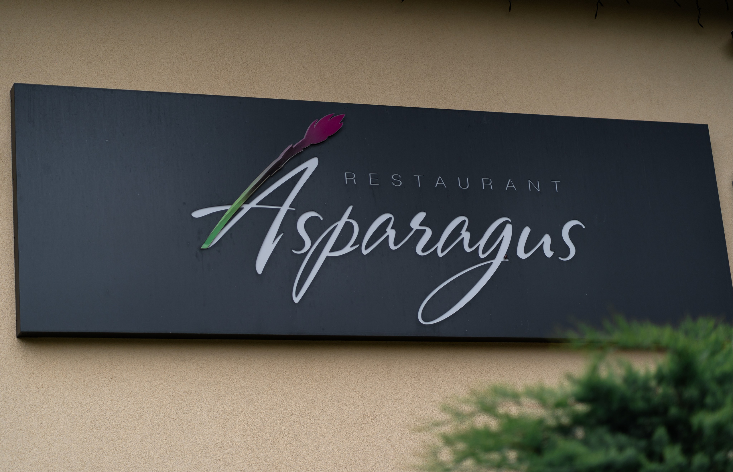 Тетяна & Остап. Весільний фотограф Львів Софія Крайник