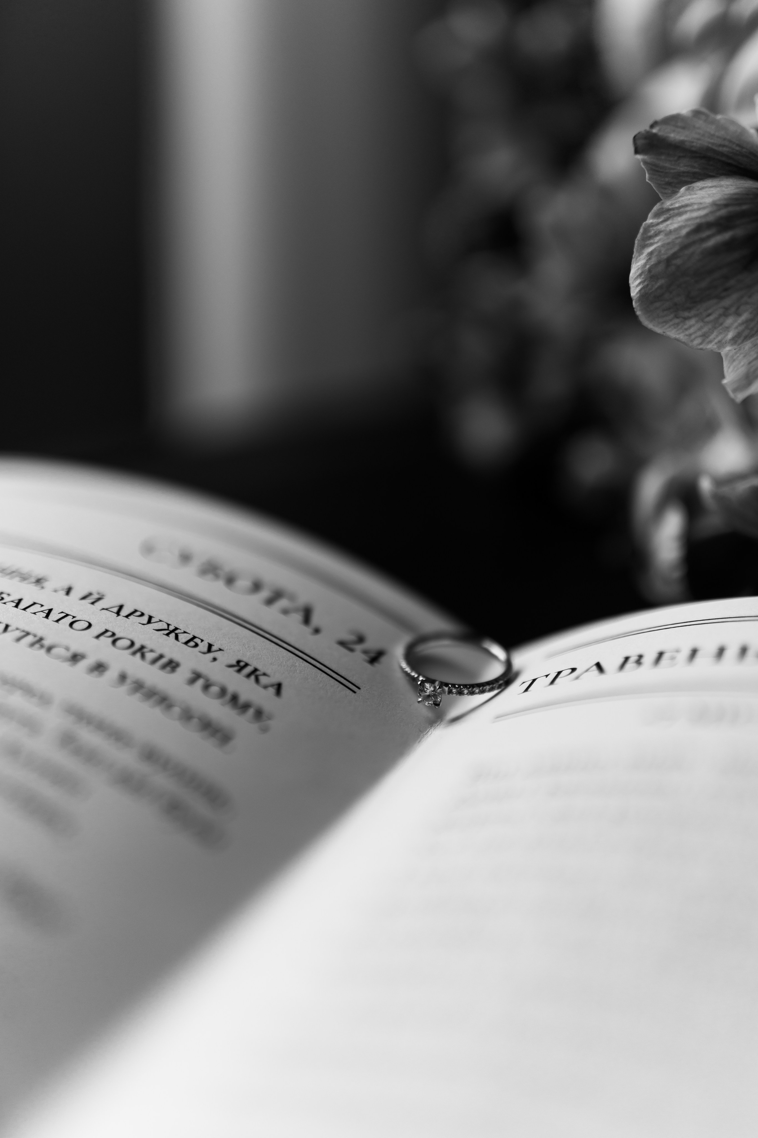 Тетяна & Остап. Весільний фотограф Львів Софія Крайник