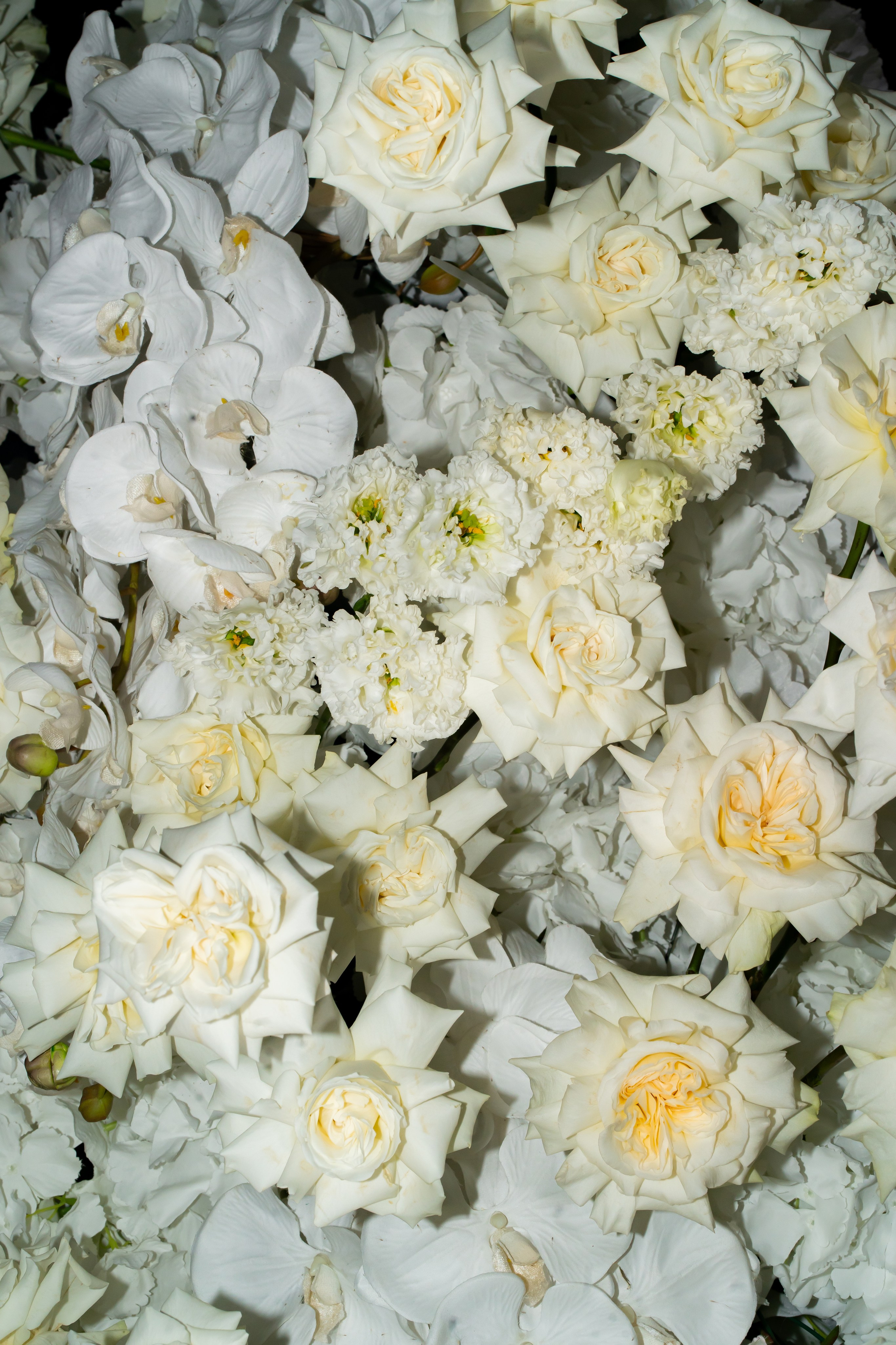 Ю&А. Весільний фотограф Львів Софія Крайник