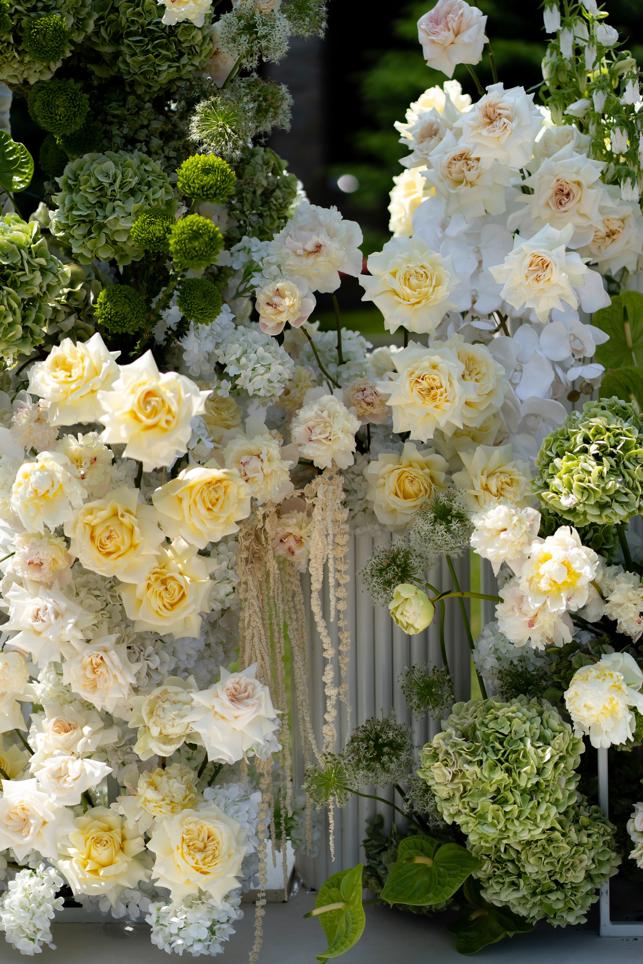 Дарина Микола. Весільний фотограф Львів Софія Крайник