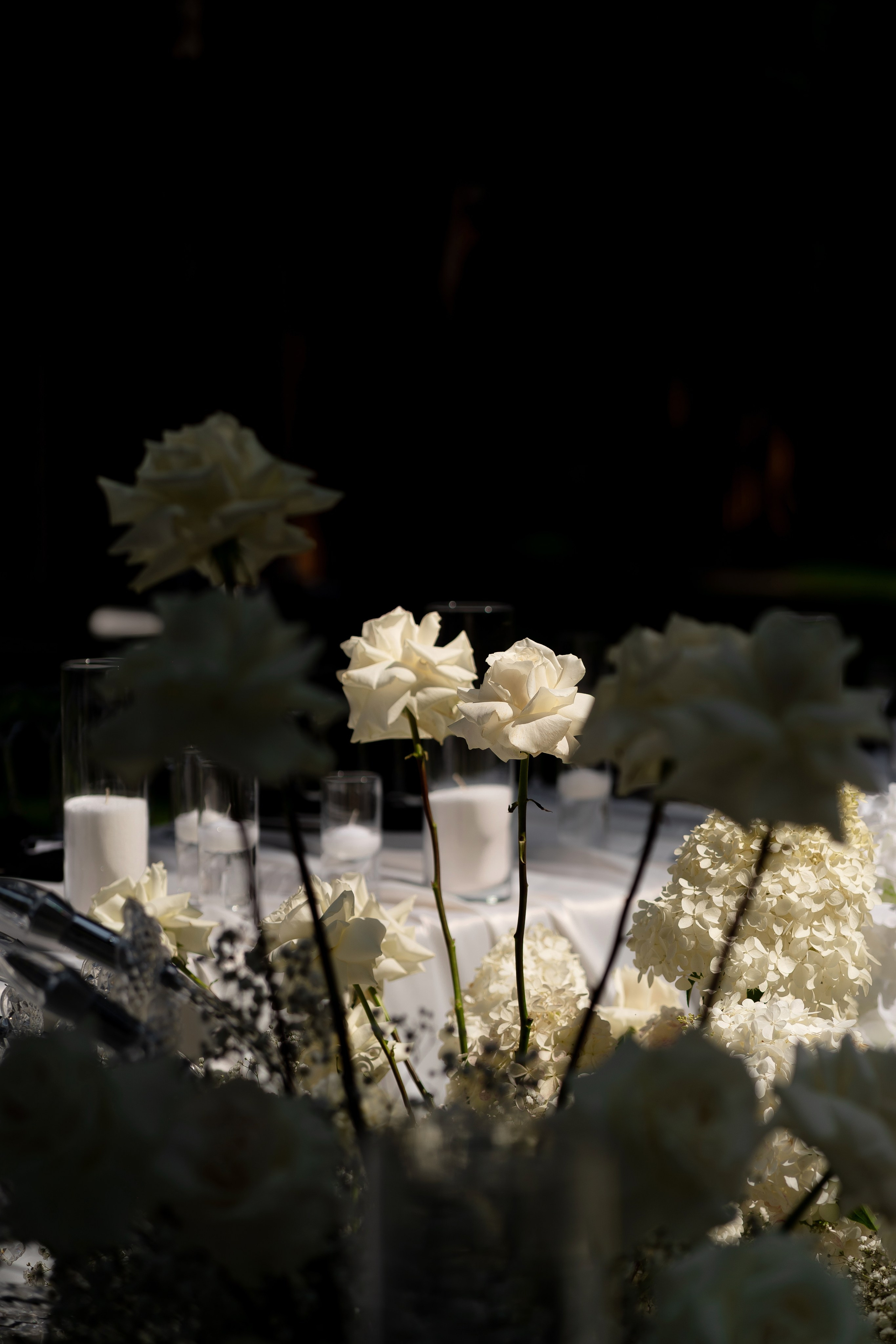 Анастасія & Олексій. Весільний фотограф Львів Софія Крайник