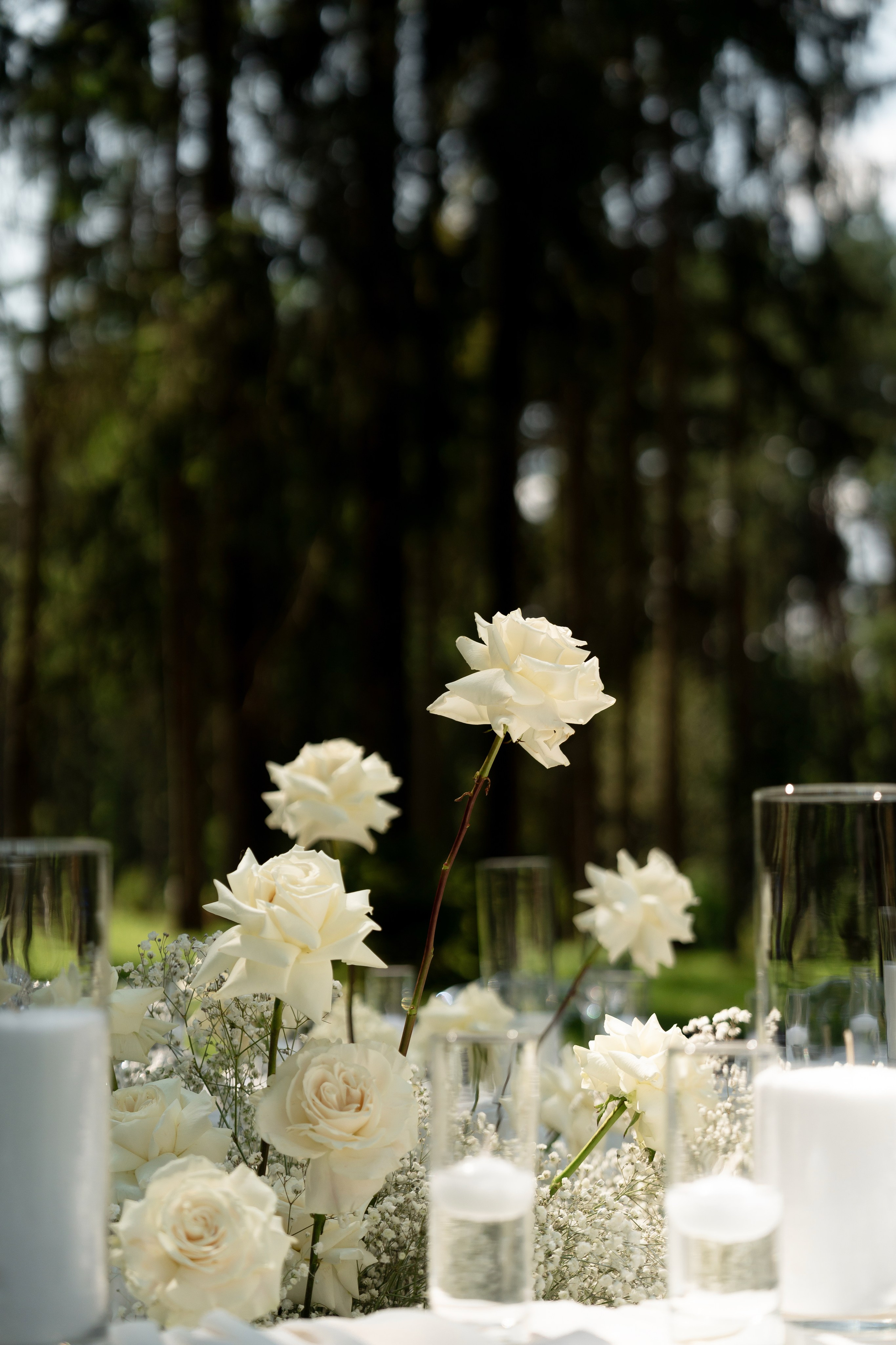 Анастасія & Олексій. Весільний фотограф Львів Софія Крайник