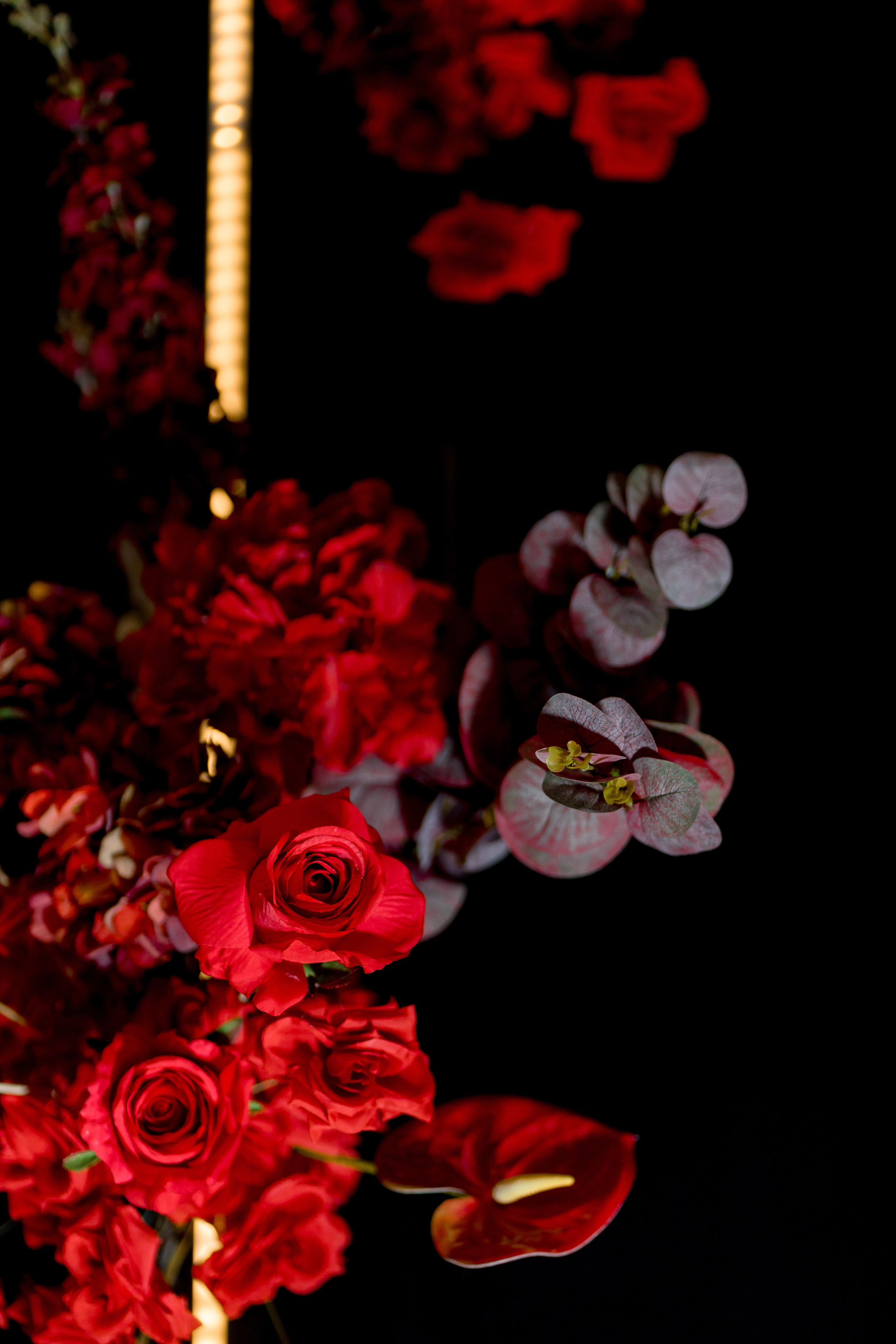 Діма & Анна. Весільний фотограф Львів Софія Крайник