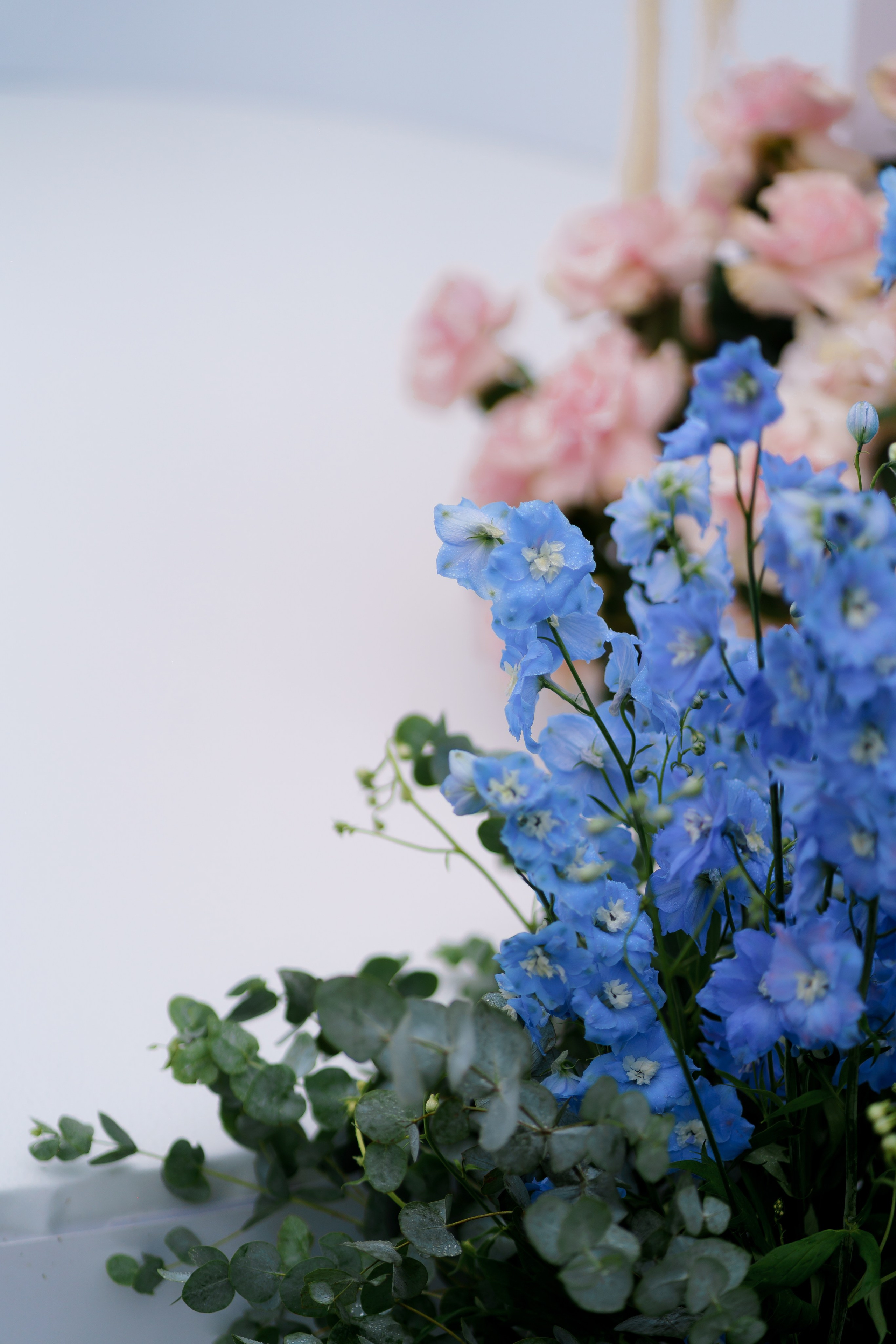 Тетяна & Остап. Весільний фотограф Львів Софія Крайник