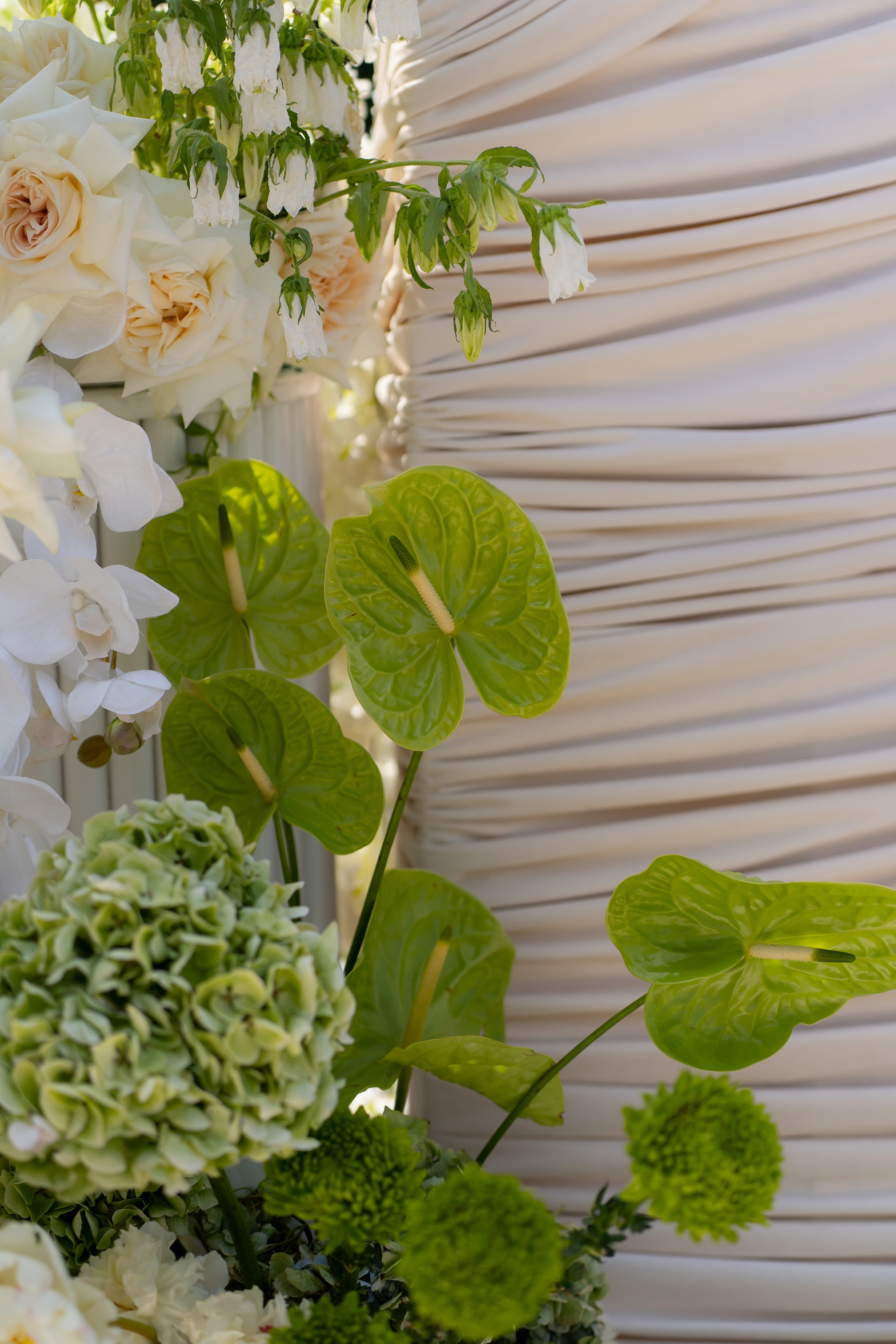 Дарина Микола. Весільний фотограф Львів Софія Крайник