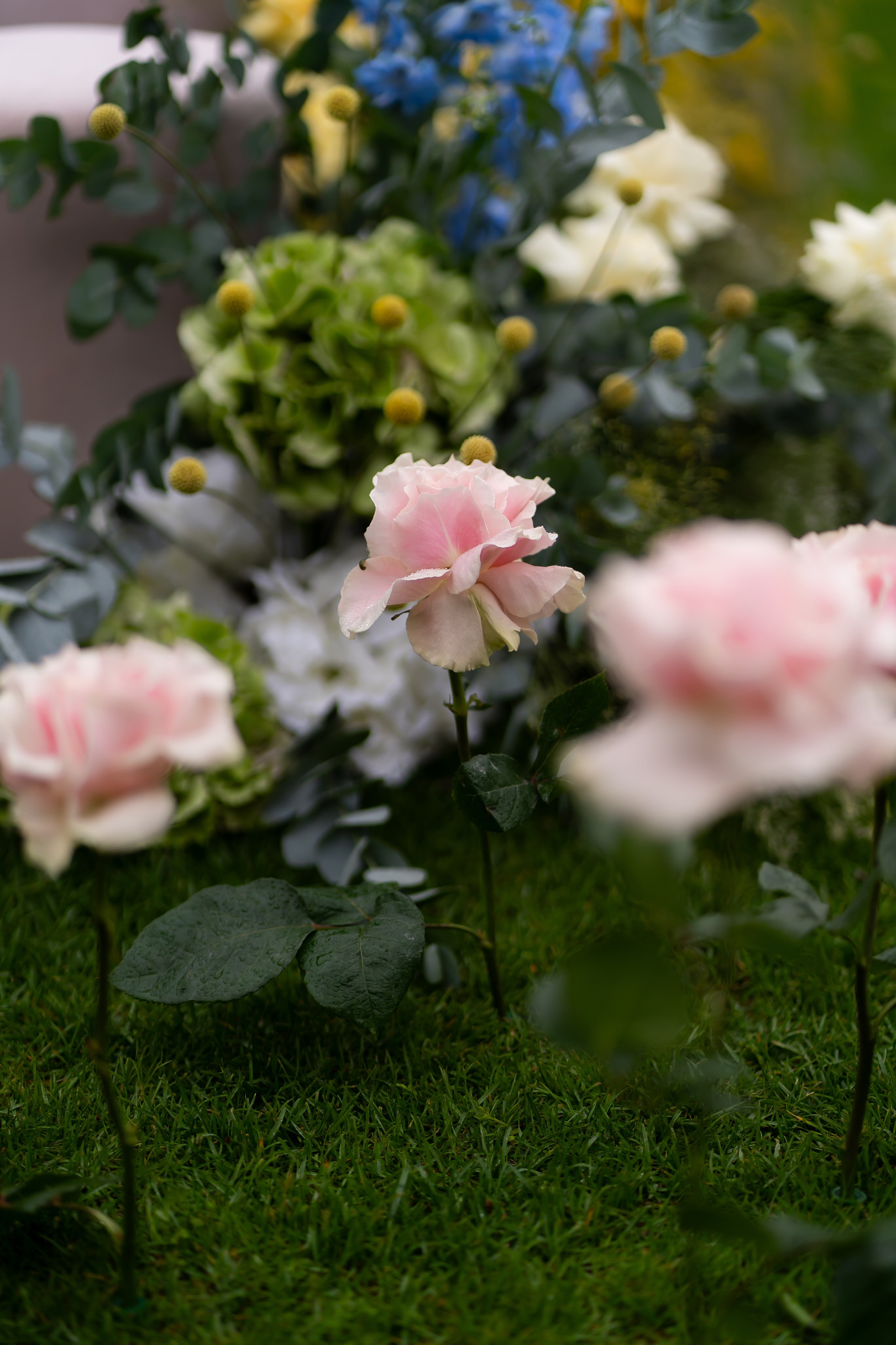 Тетяна & Остап. Весільний фотограф Львів Софія Крайник