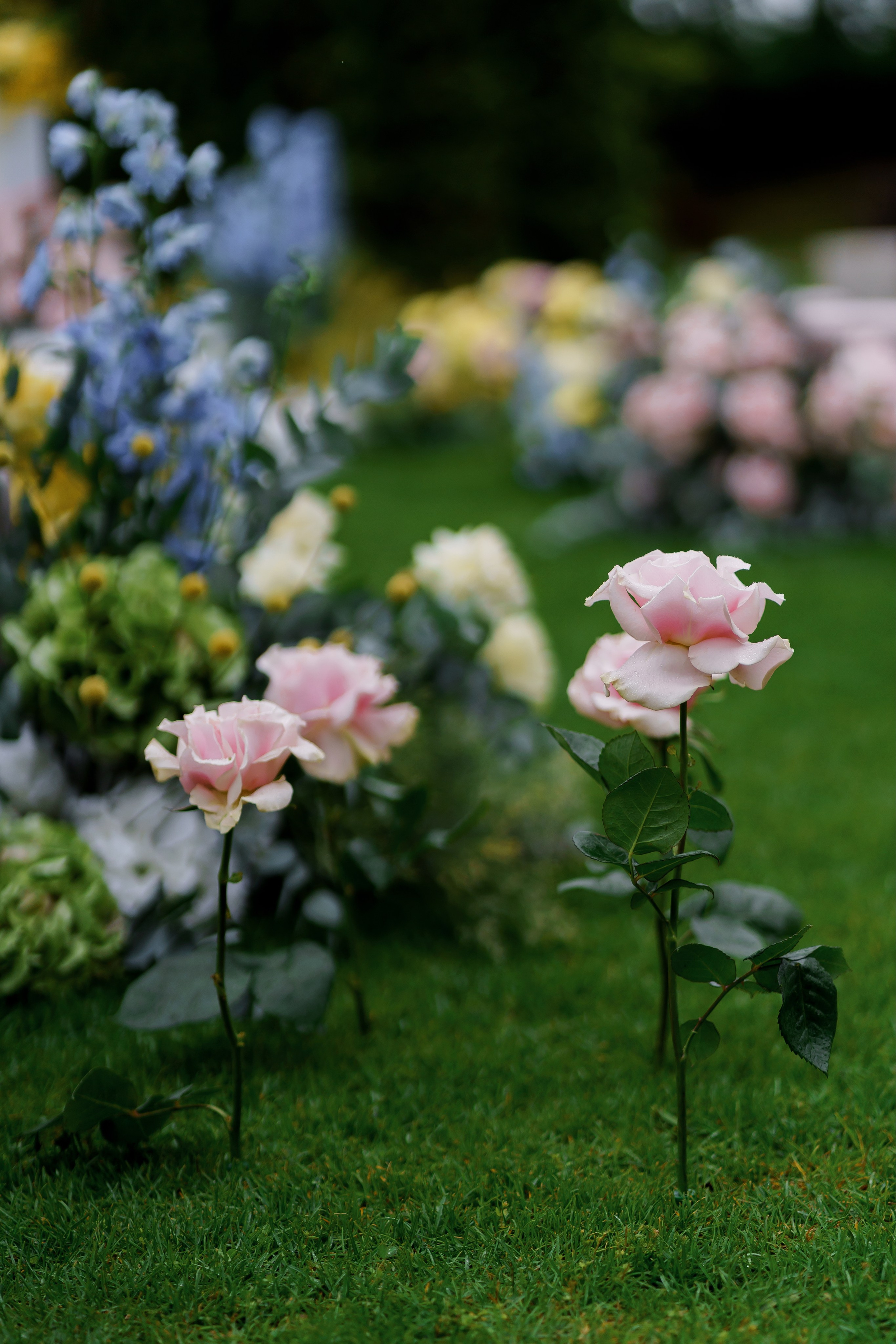 Тетяна & Остап. Весільний фотограф Львів Софія Крайник