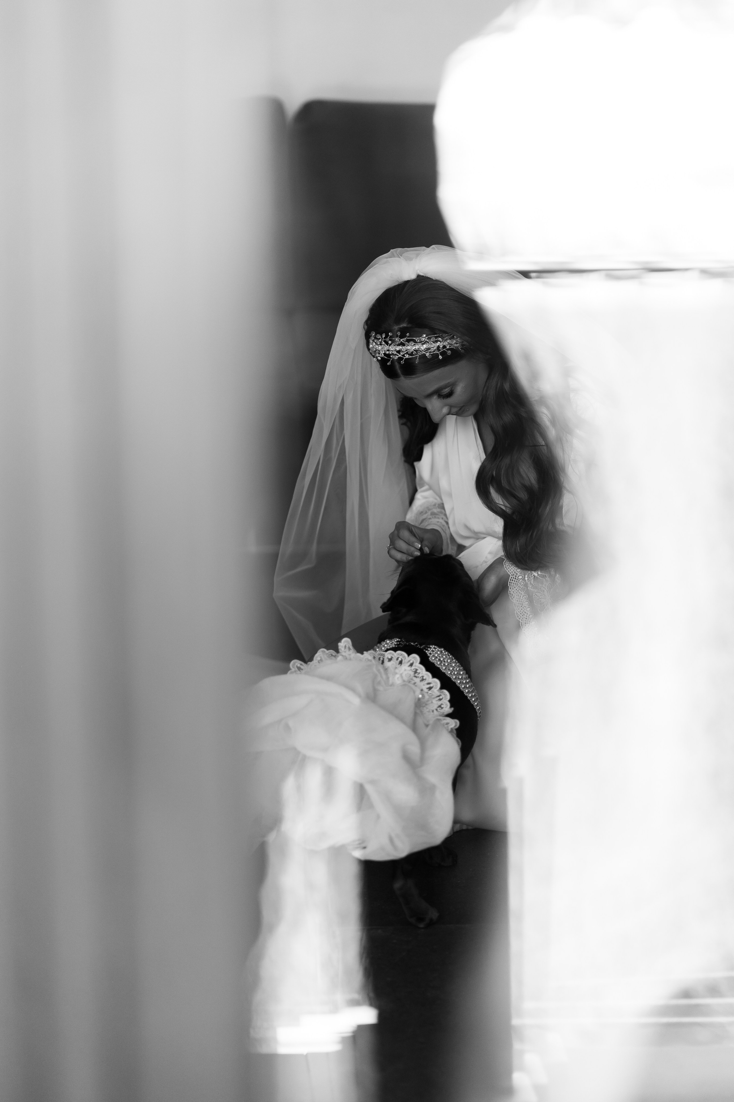 Віталій & Ліліана. Весільний фотограф Львів Софія Крайник