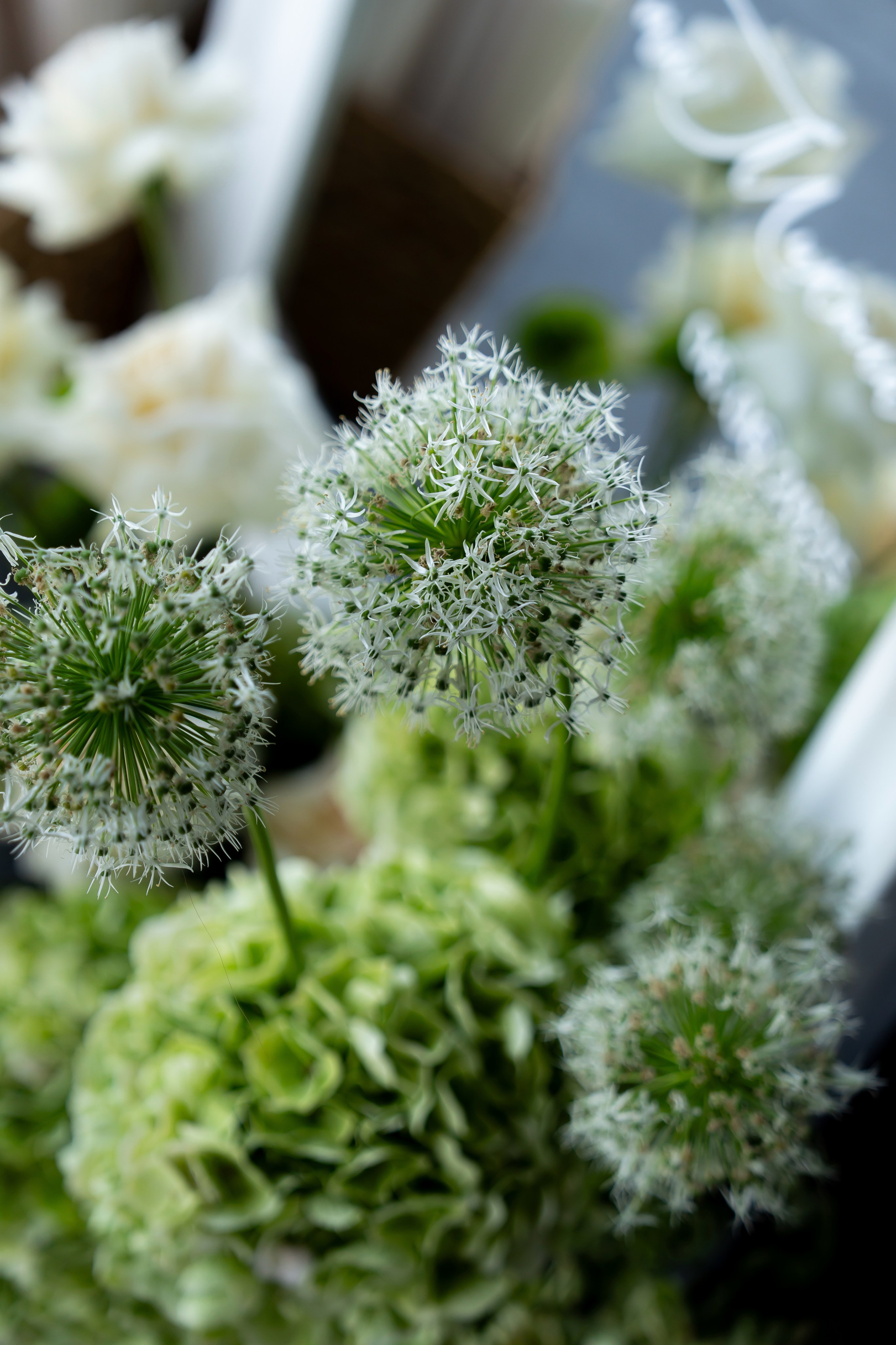 Дарина Микола. Весільний фотограф Львів Софія Крайник