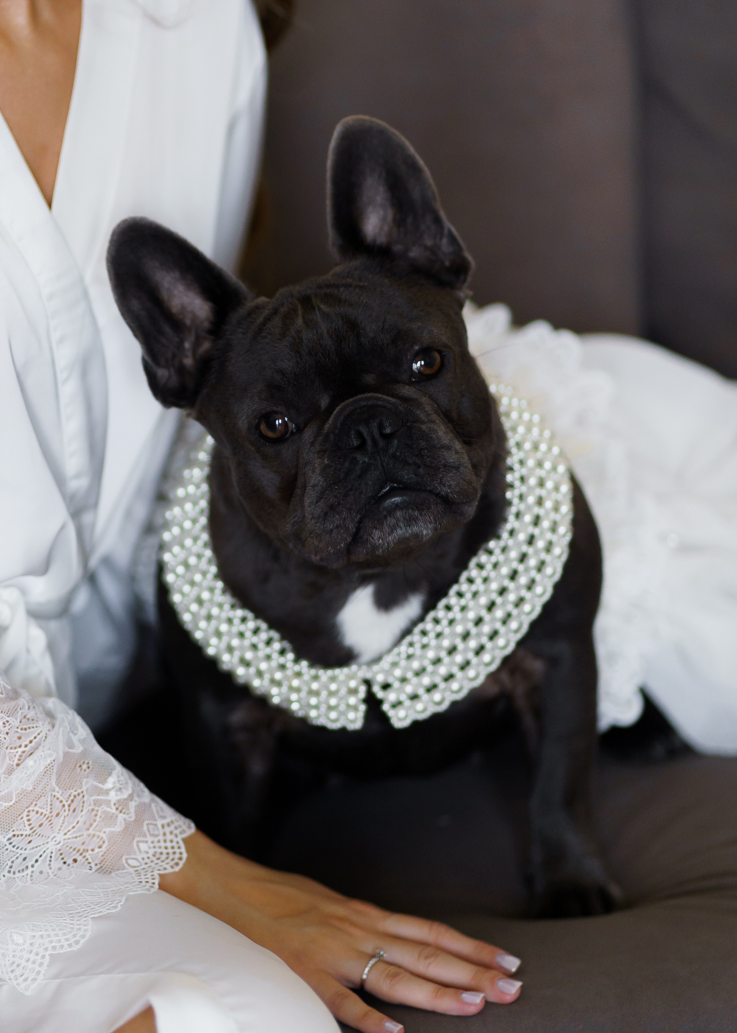 Віталій & Ліліана. Весільний фотограф Львів Софія Крайник