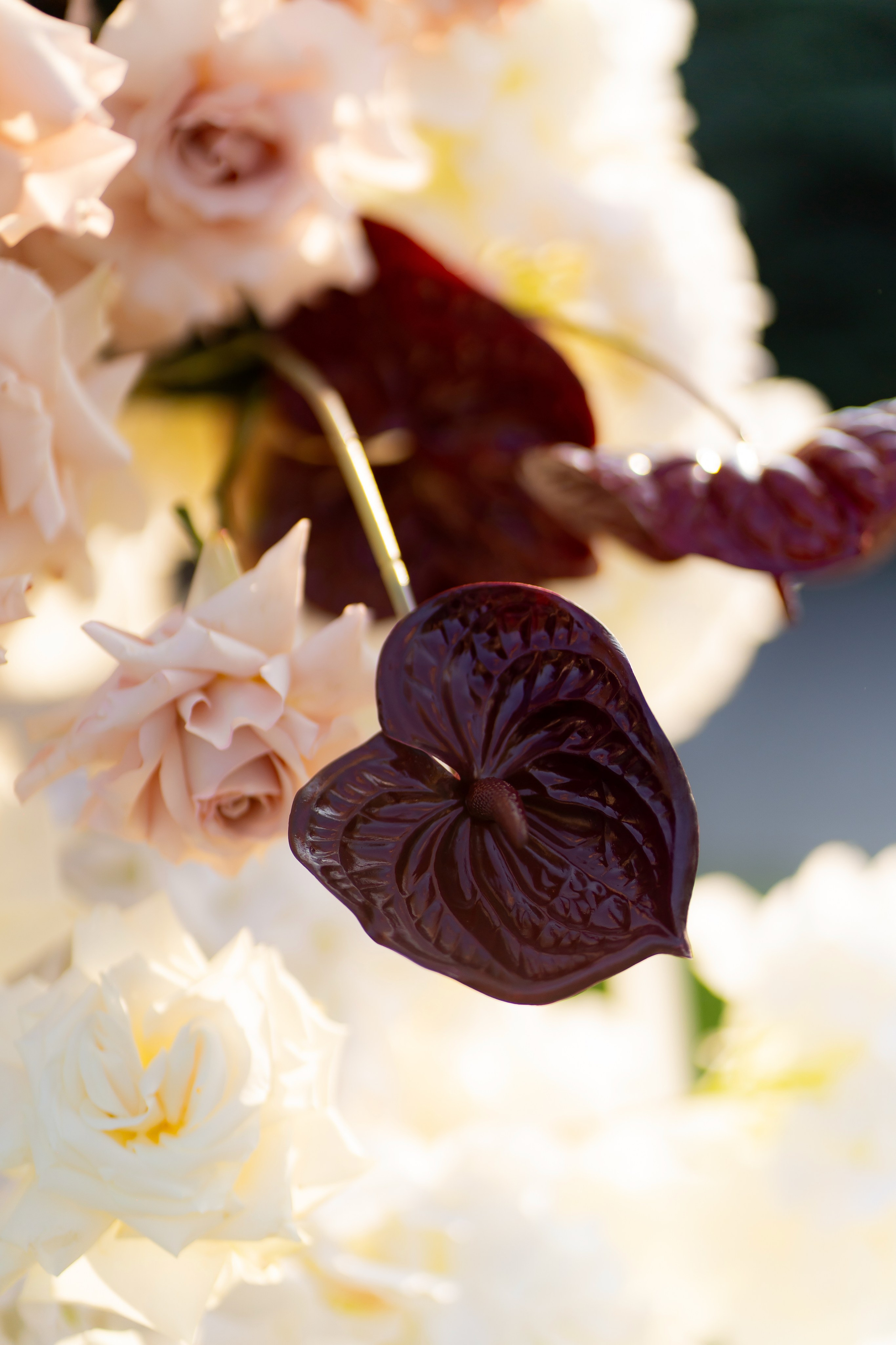 Ірина & Назар. Весільний фотограф Львів Софія Крайник