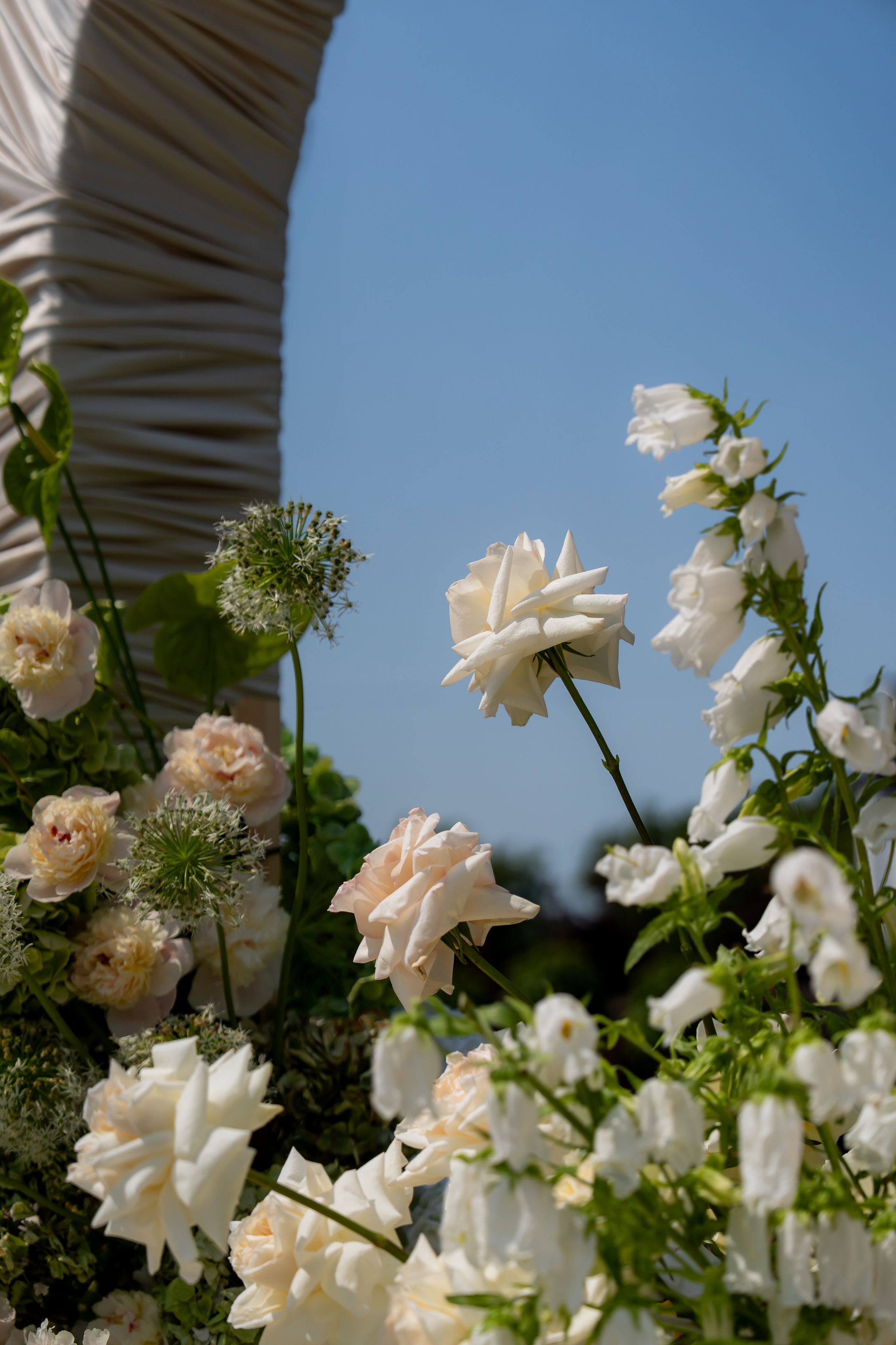 Дарина Микола. Весільний фотограф Львів Софія Крайник