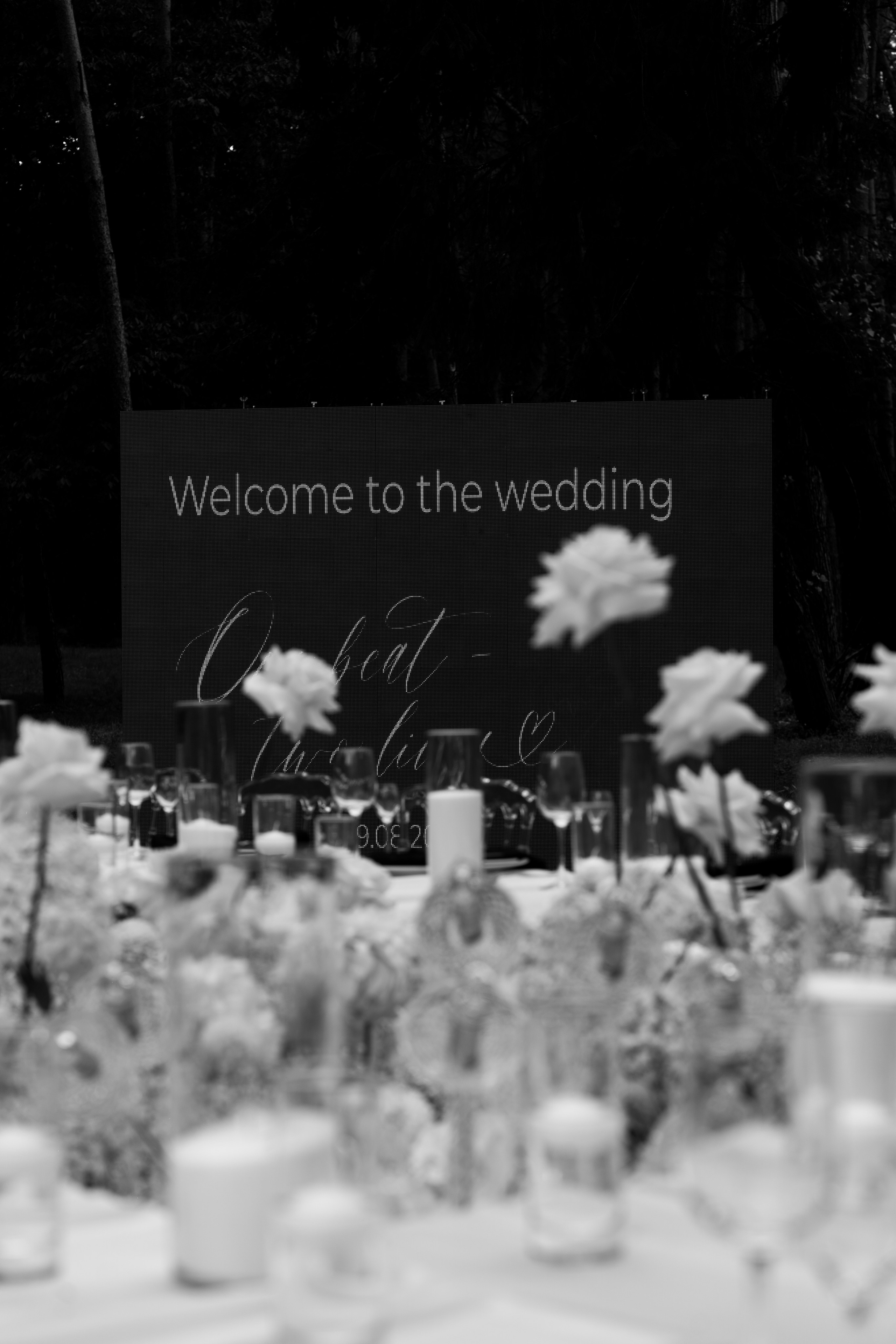 Анастасія & Олексій. Весільний фотограф Львів Софія Крайник