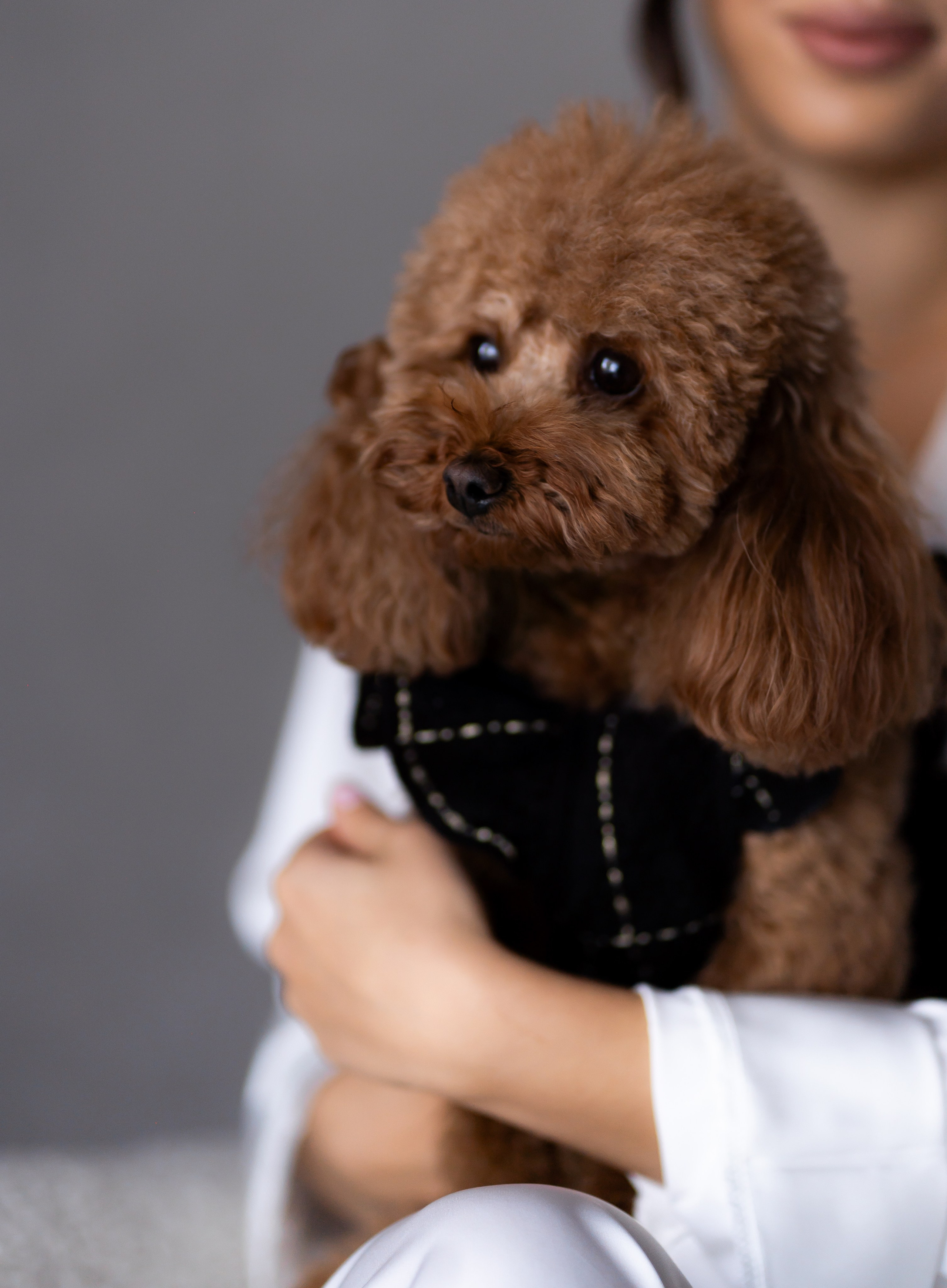 Ю&А. Весільний фотограф Львів Софія Крайник