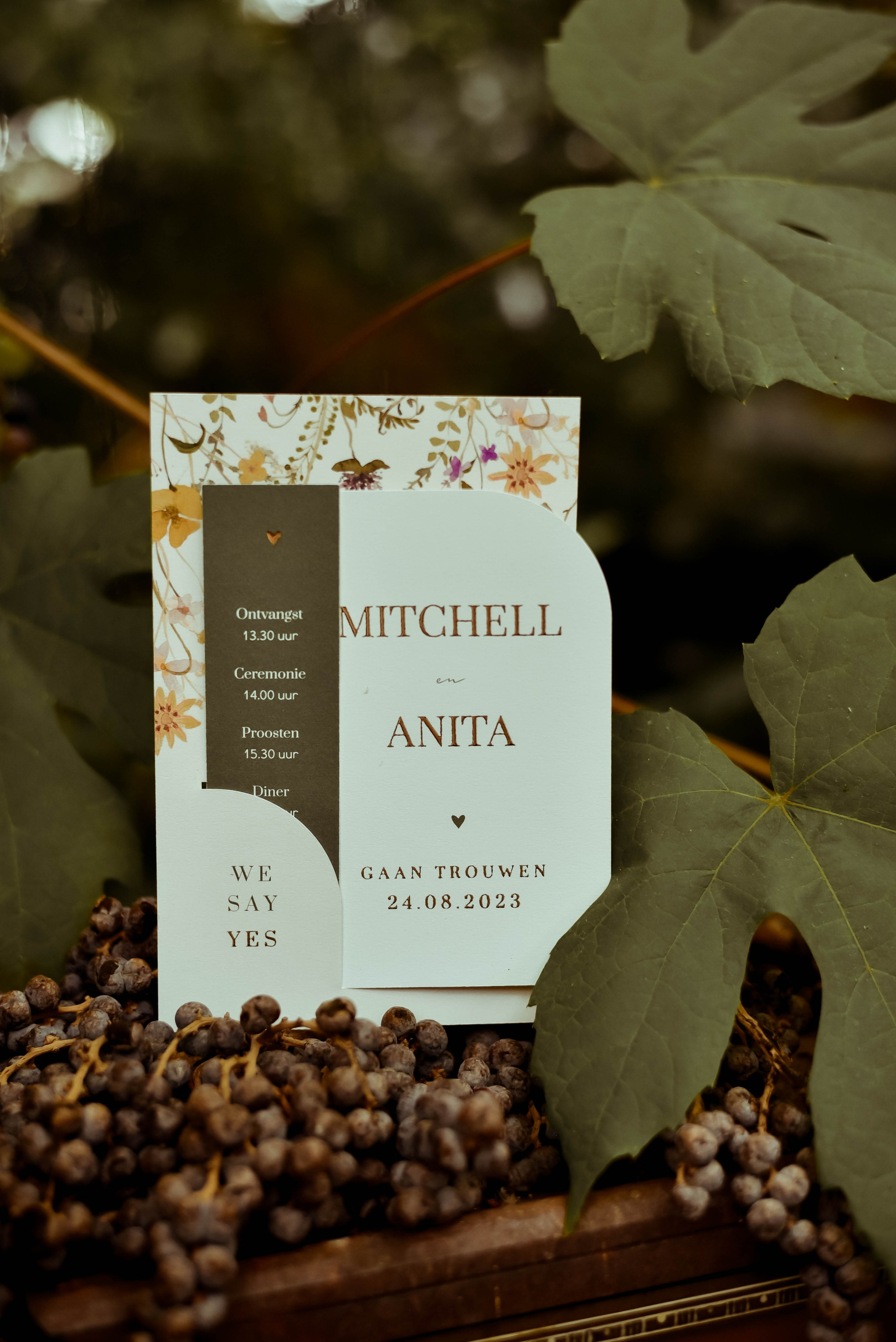 Anita & Mitchell. HOME