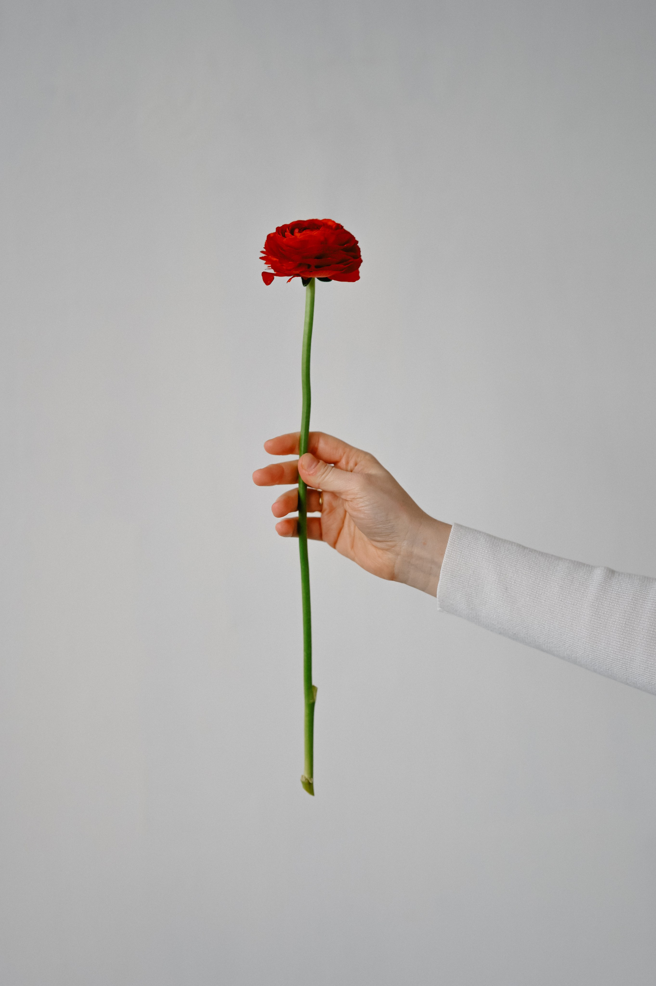 Juliia. Фотограф Бережна Юлія Прага