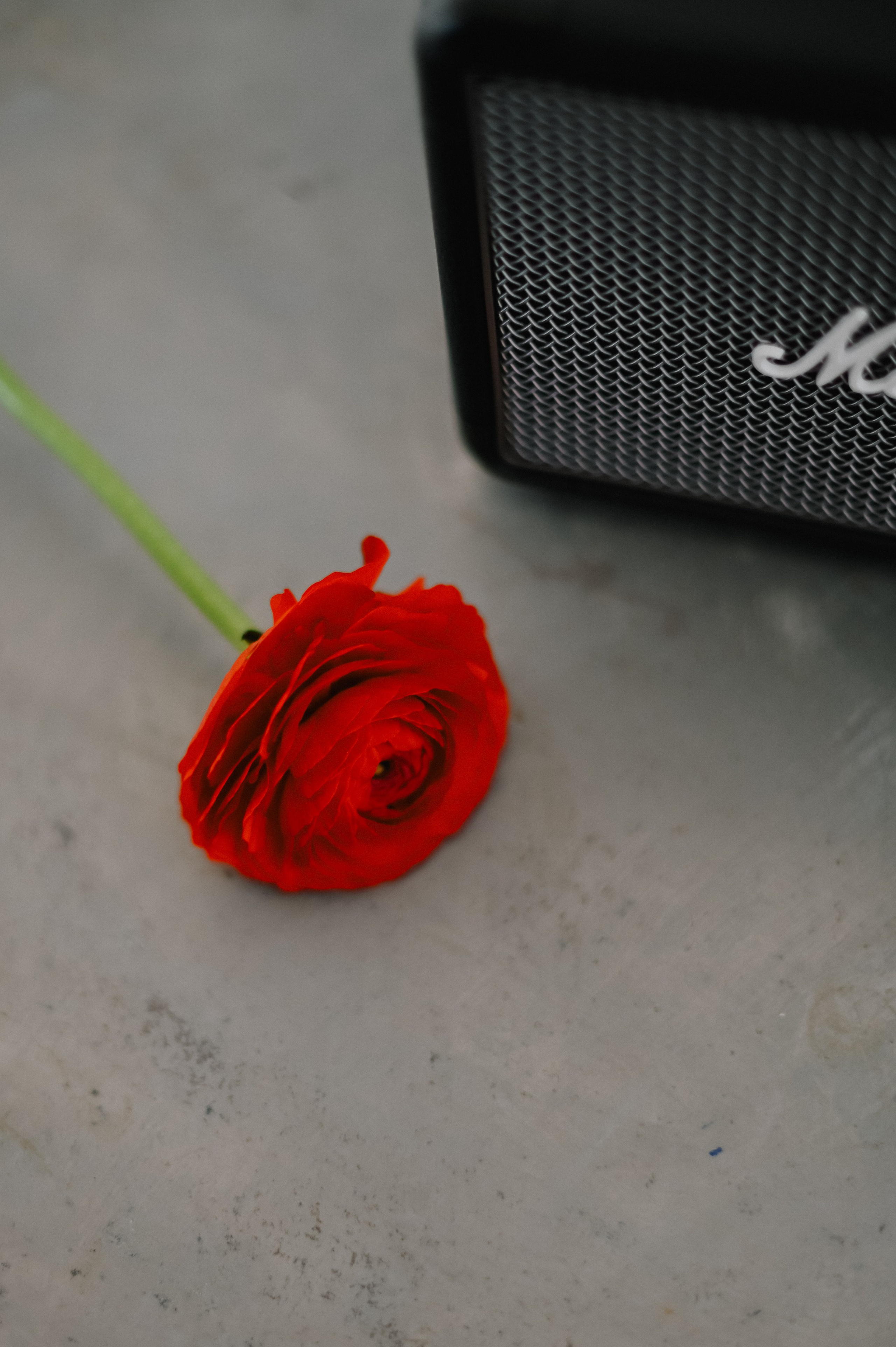 Juliia. Фотограф Бережна Юлія Прага