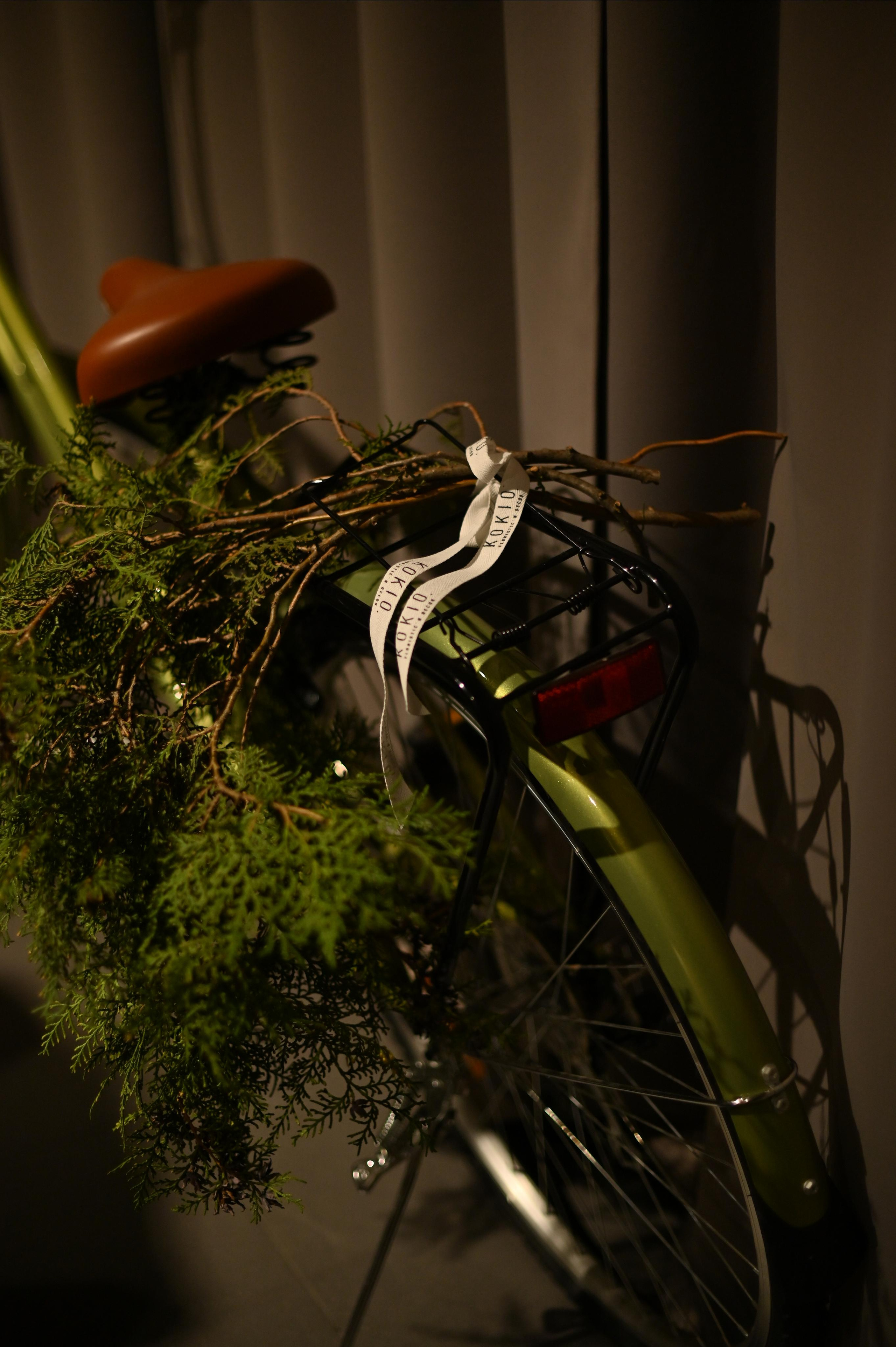 NEW YEAR 2022. Фотограф Бережна Юлія Прага