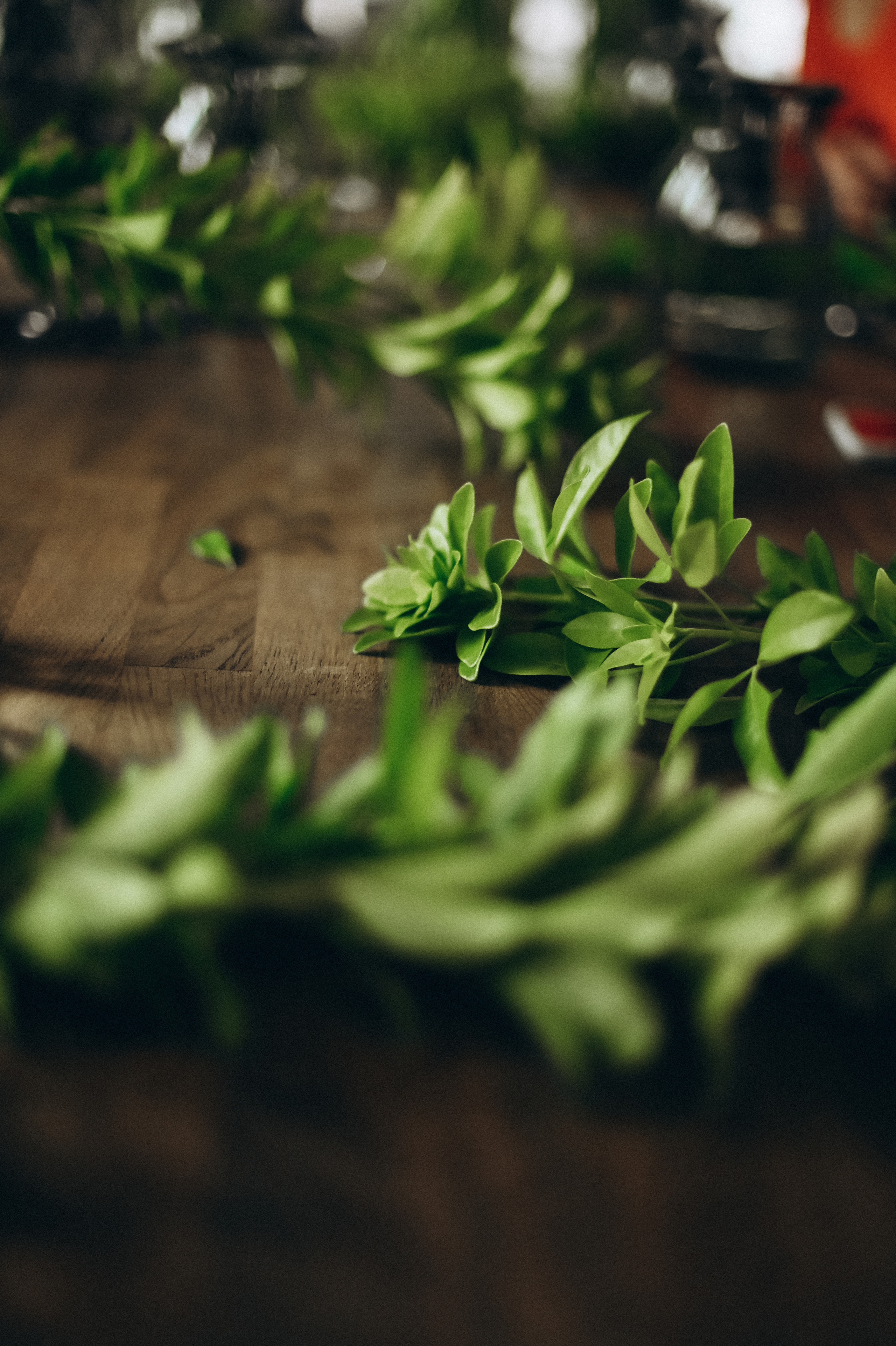 SPRING. Фотограф Бережна Юлія Прага