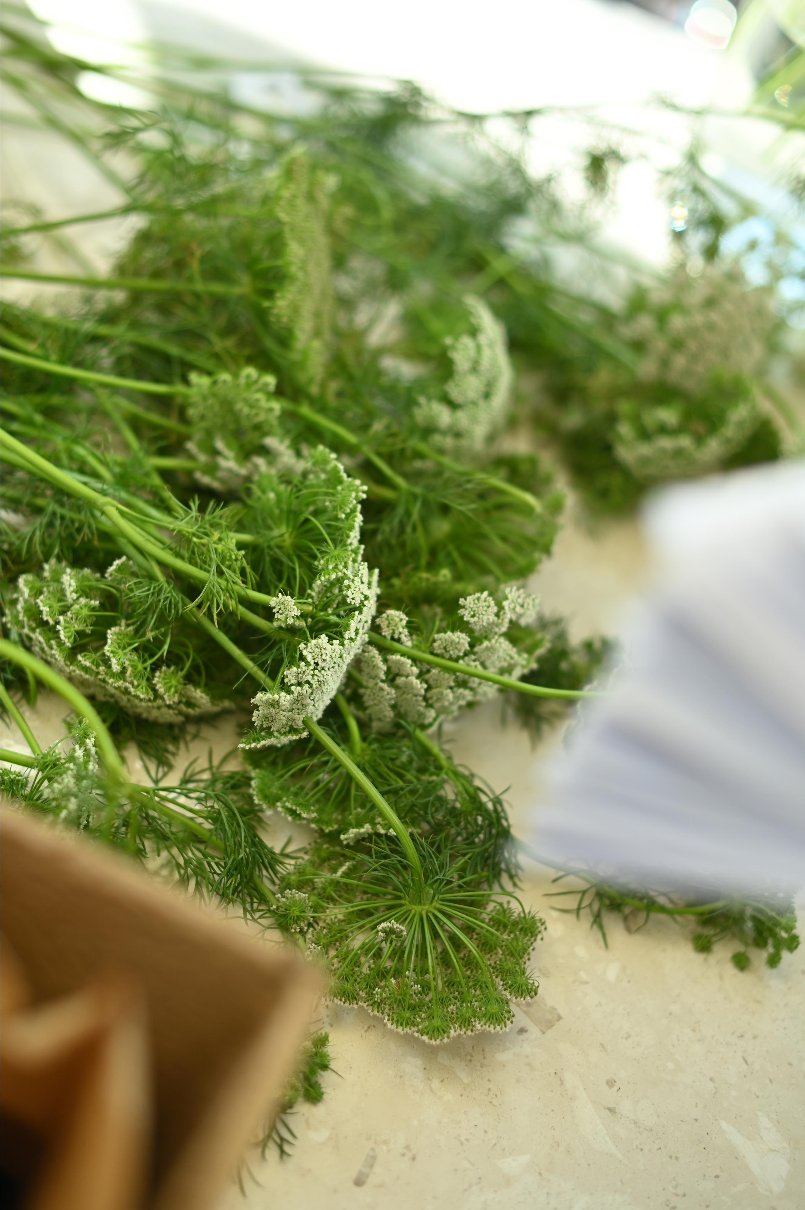 BROCANTE. Фотограф Бережна Юлія Прага