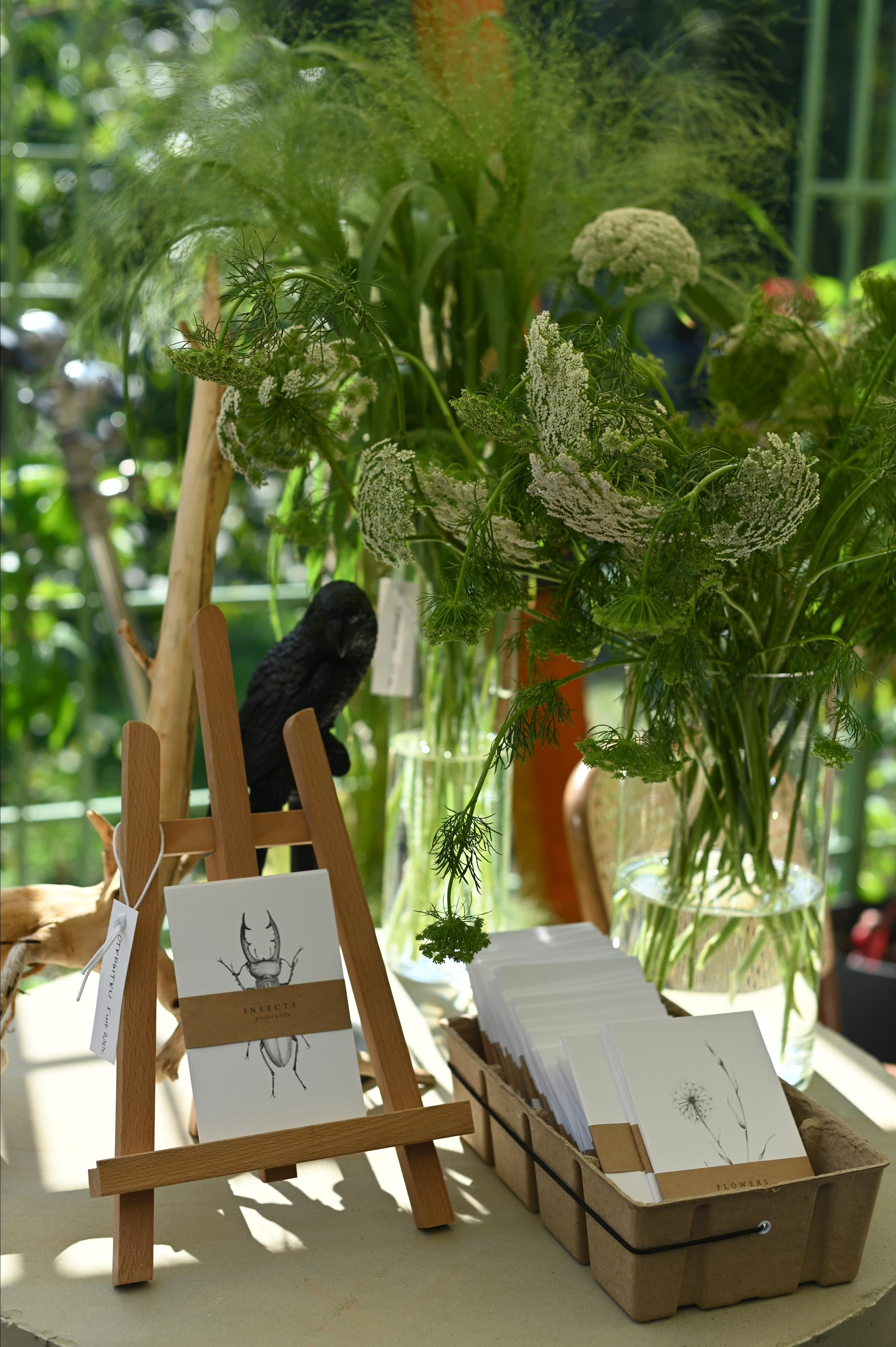 BROCANTE. Фотограф Бережна Юлія Прага